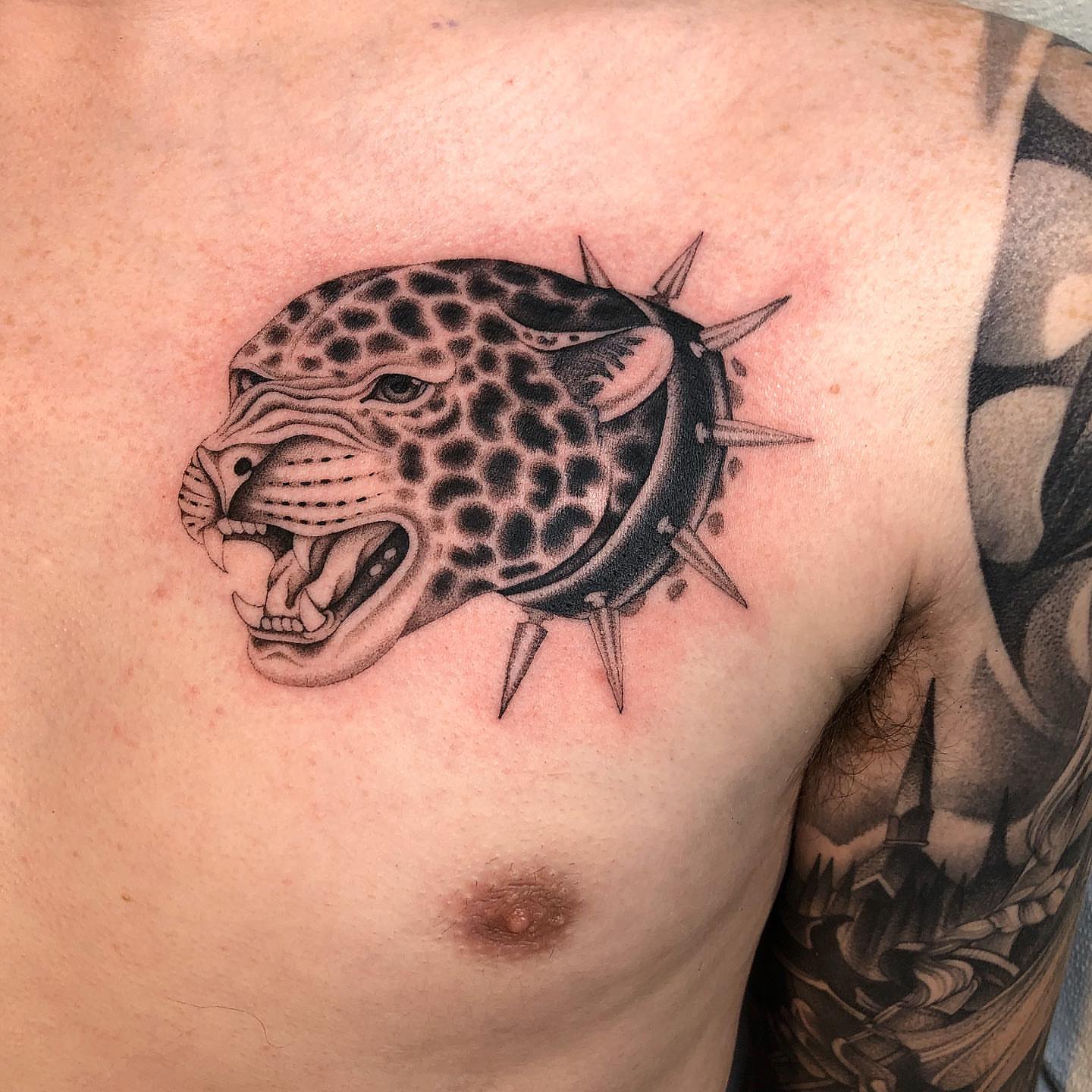 Jaguar head realism tattoo on the chest by Mickey