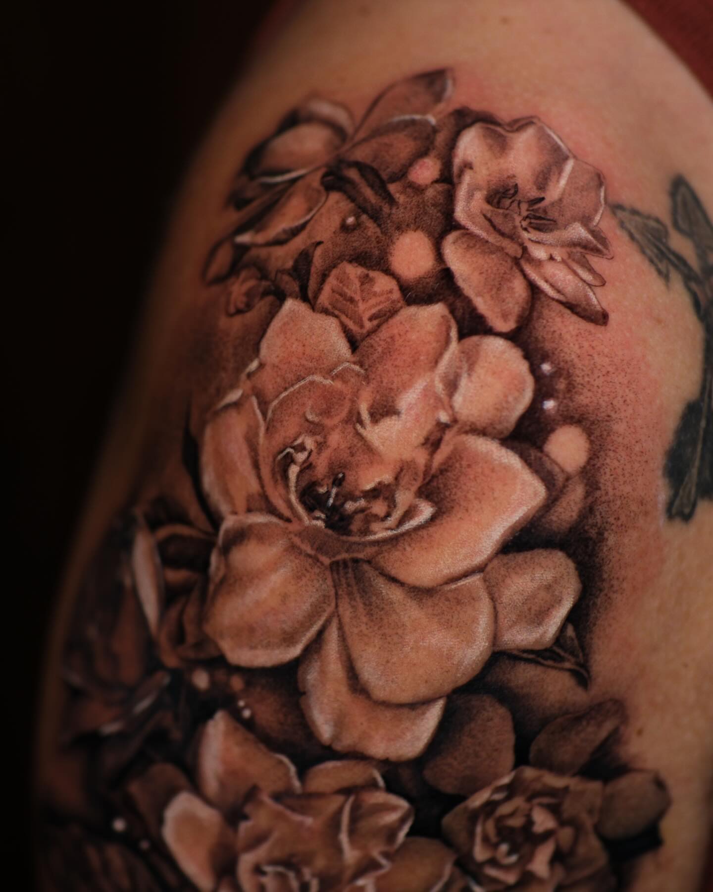 Flowers black and grey tattoo on the shoulder by Josy Castro