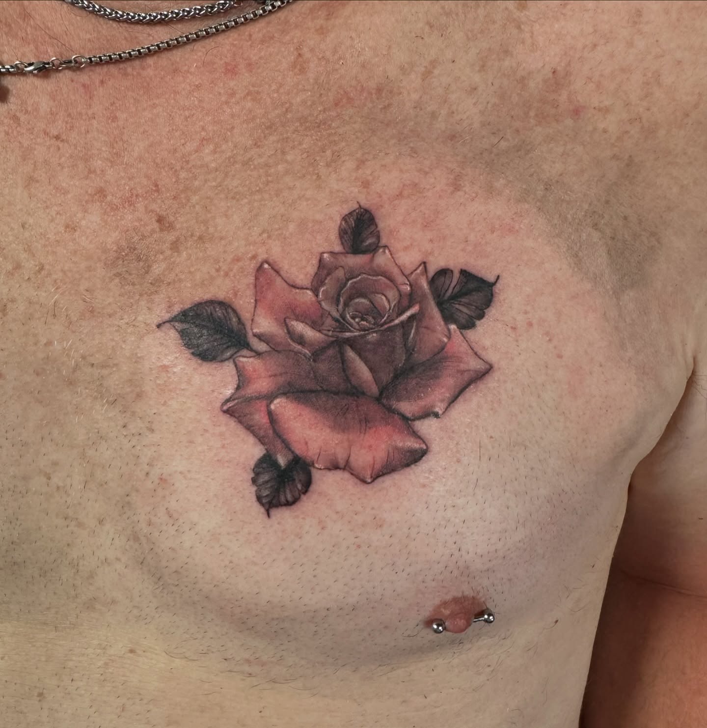 Rose realism tattoo on the chest by Tattoo Artist