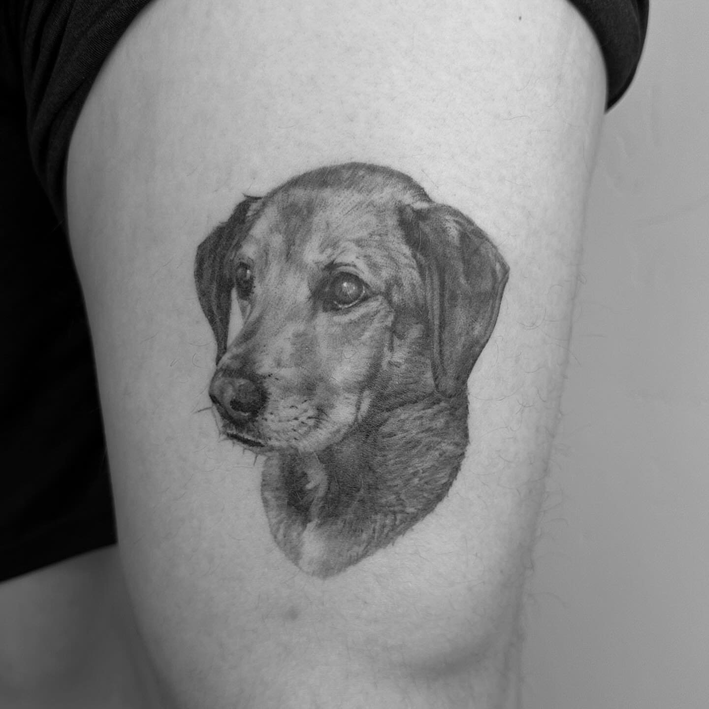 Dog realism tattoo on the thigh by Paige Jean