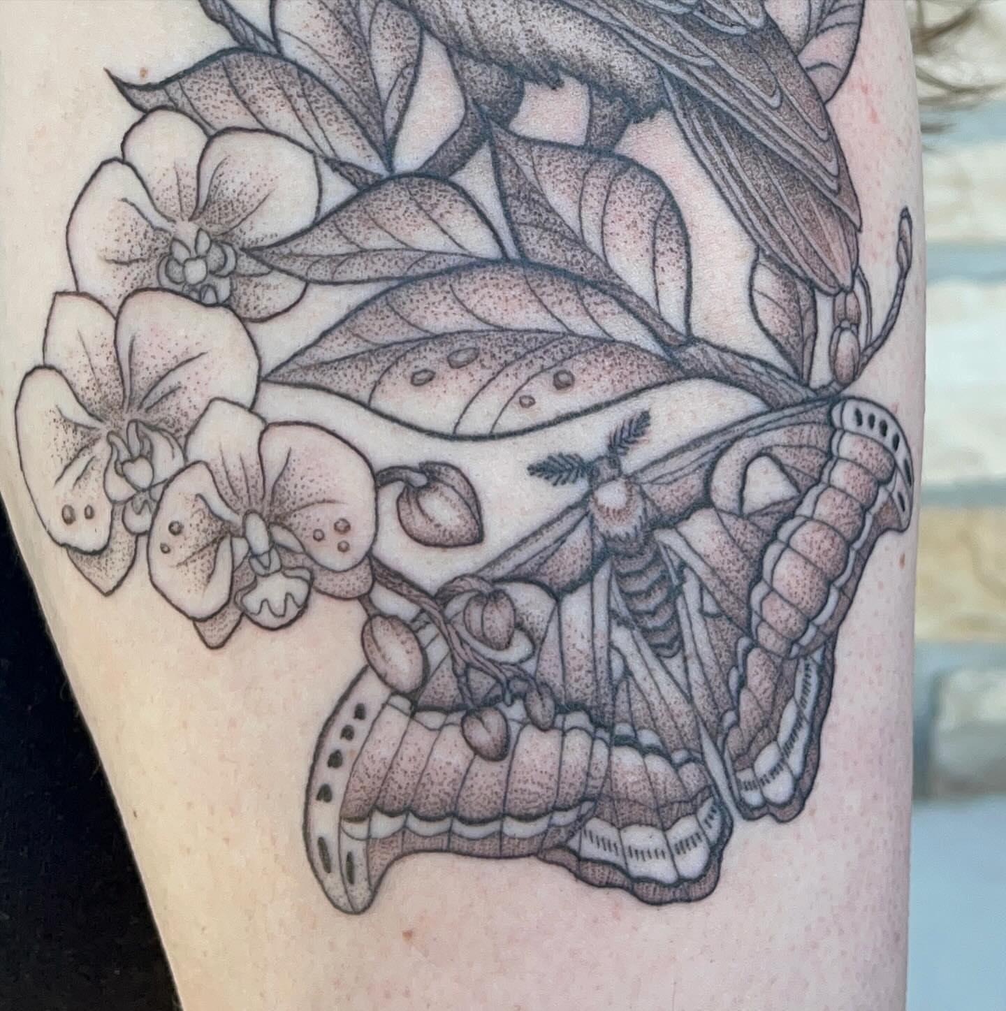 Butterfly and orchids dotwork tattoo on the forearm by Tina Petrullo, West Chester Township, Butler County, Ohio