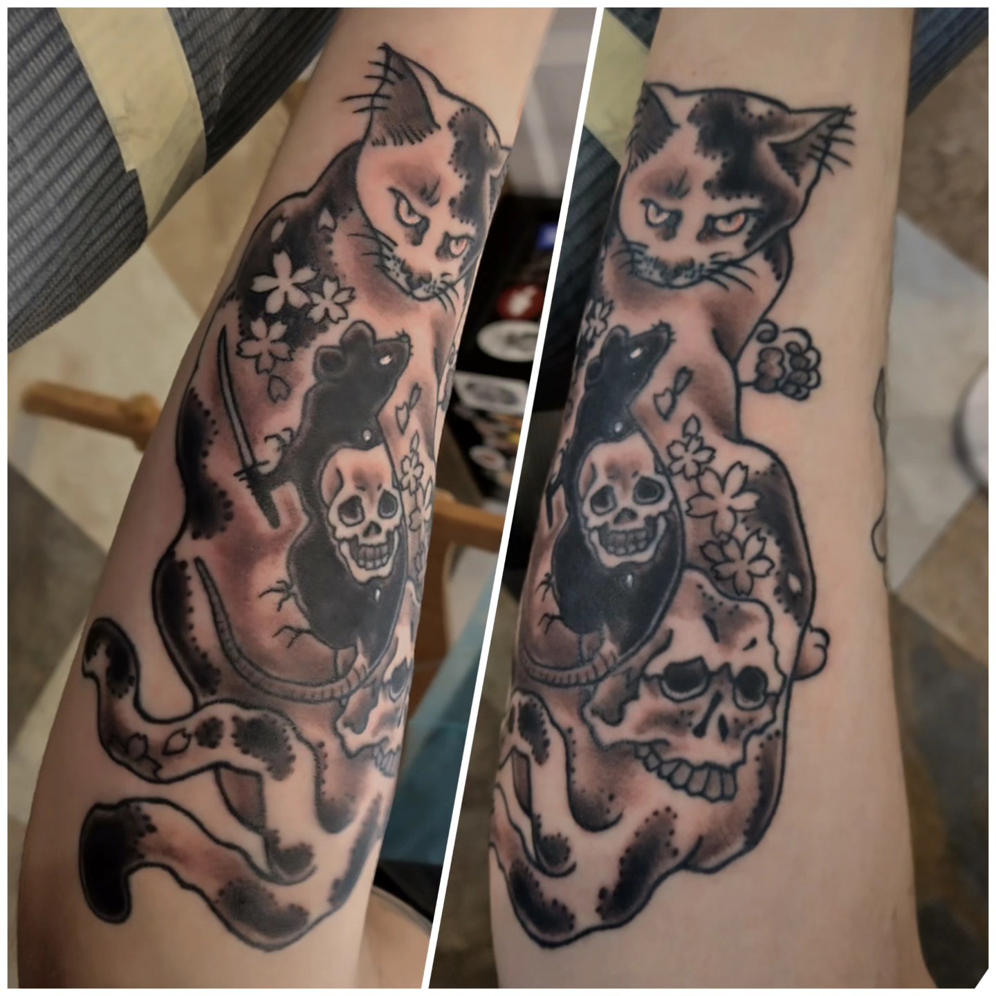 Cat and skulls dark realism tattoo on the forearm by Matt Williamson