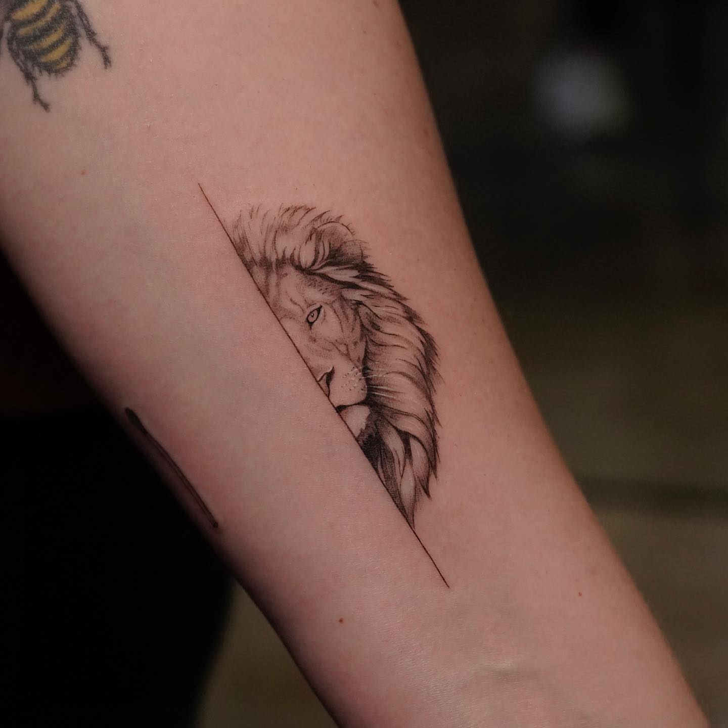 Lion realism tattoo on the forearm by eddie chavez