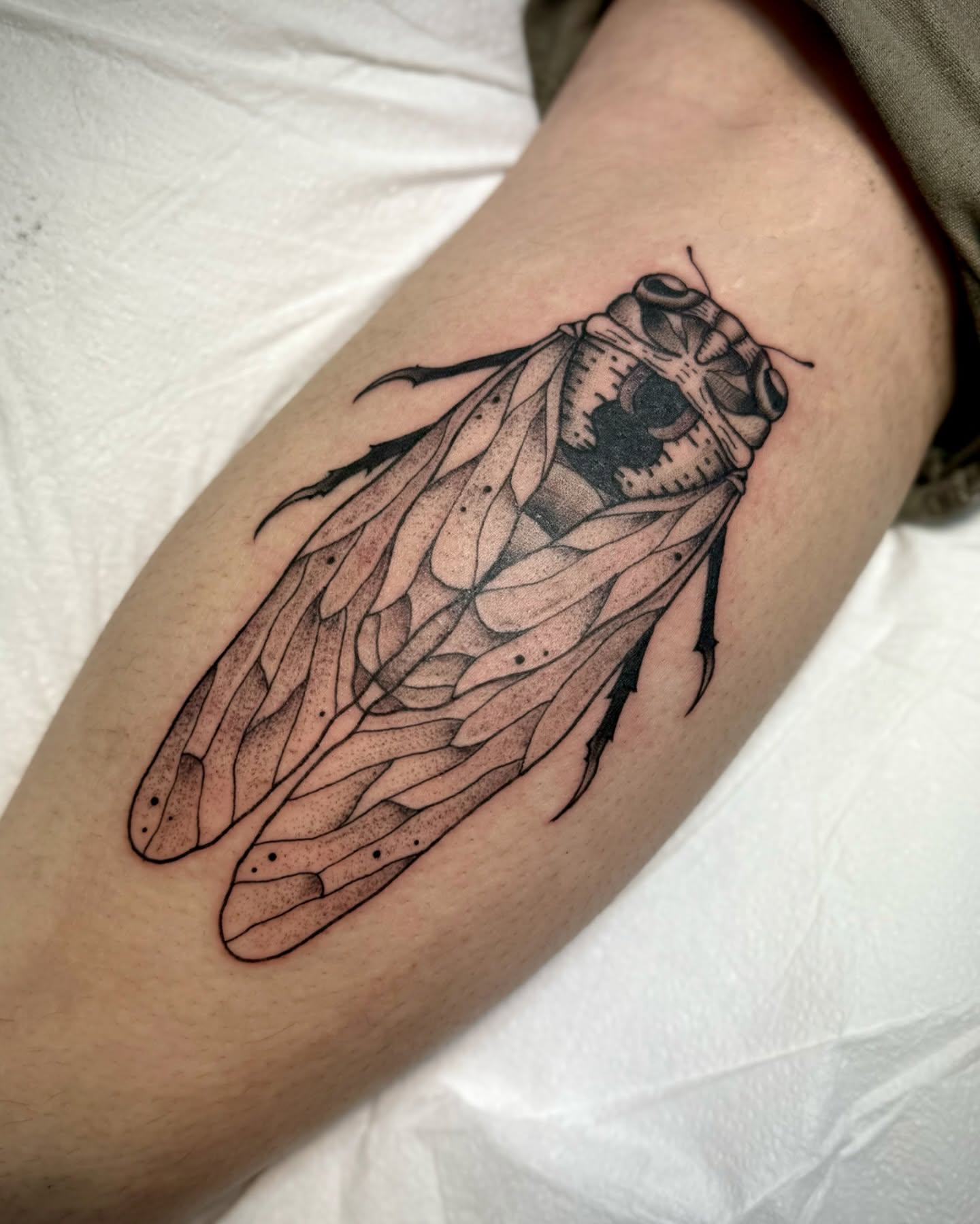 Cicada dotwork tattoo on the thigh by Mazie