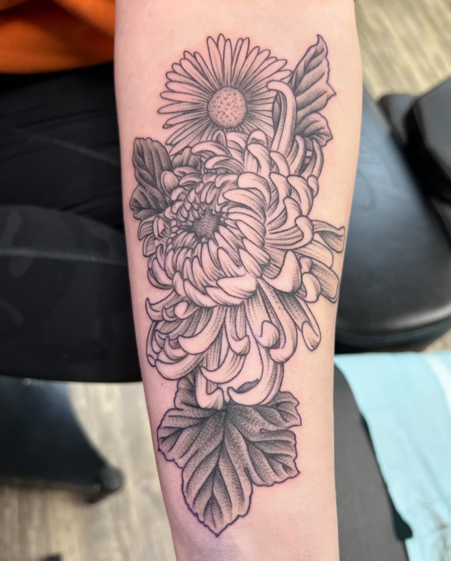 Chrysanthemums black and grey tattoo on the forearm by Dustin Quillen Tattoo Artist, Campbellsville, Kentucky