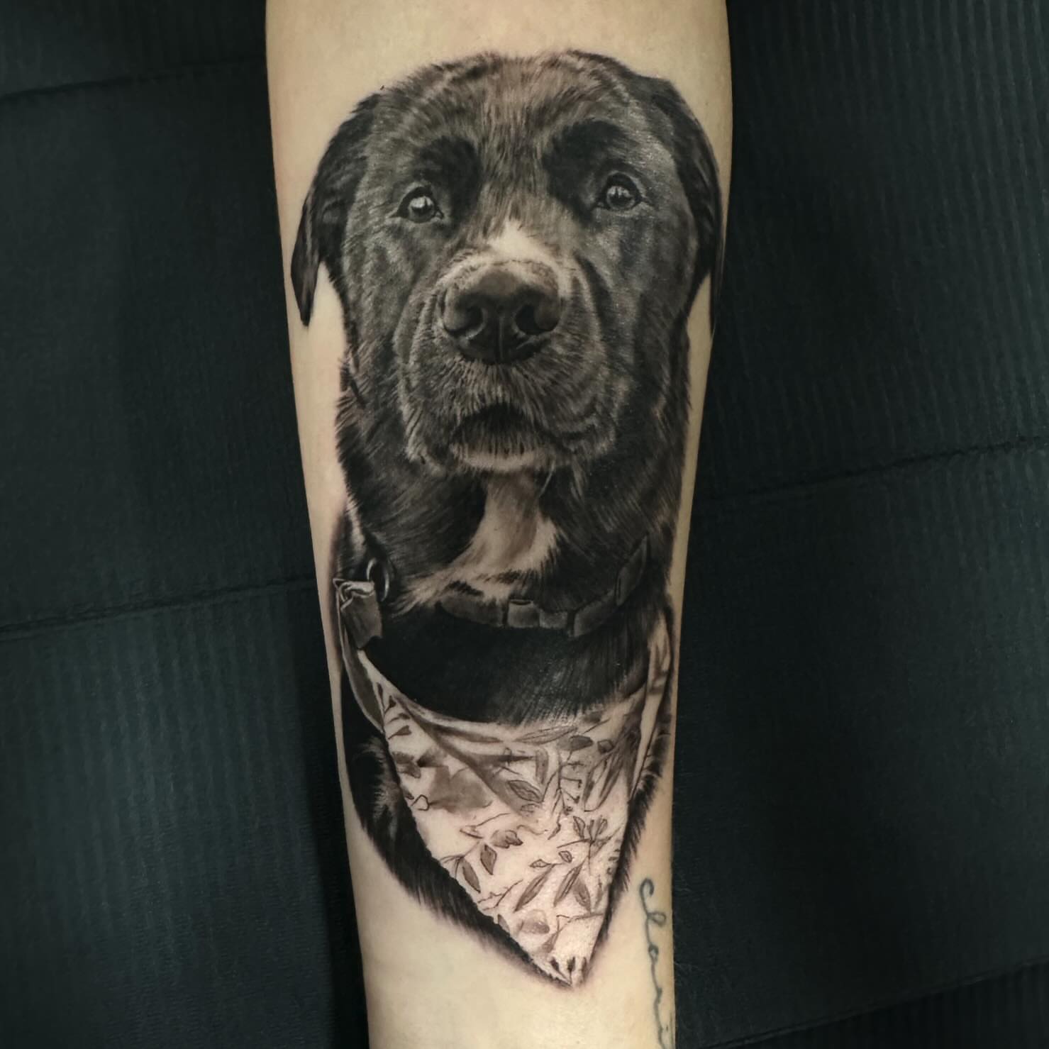 Dog with bandana realism tattoo on the forearm by Mike Christie