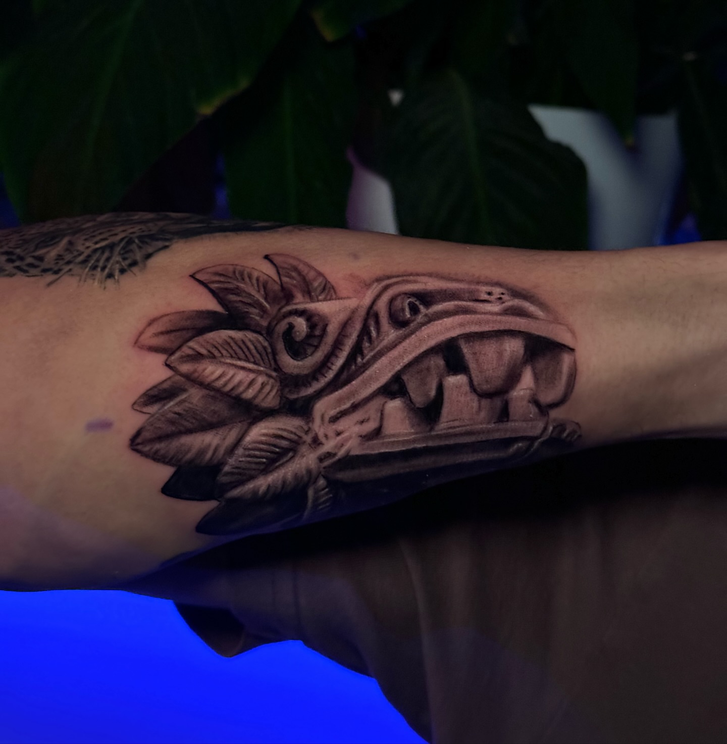 Jaguar head realism tattoo on the forearm by Dallas Tattoo Artist