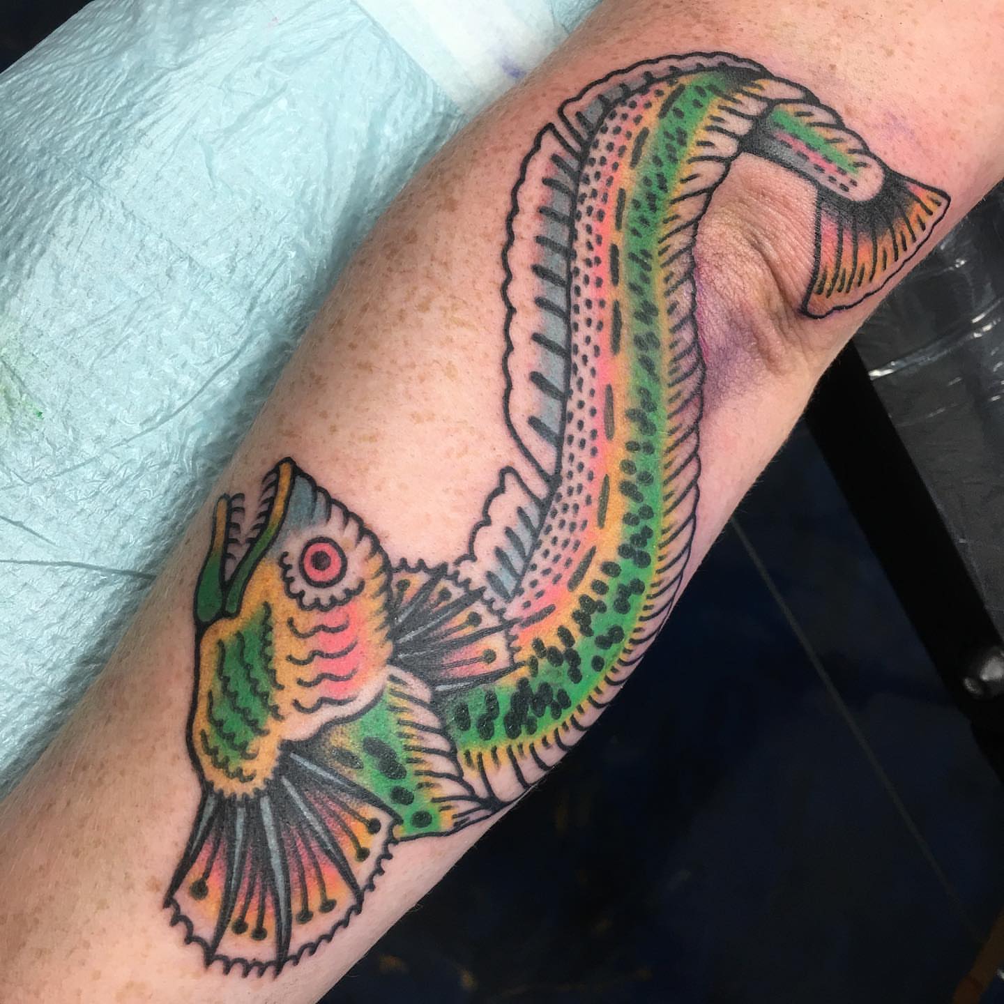 Fish American traditional tattoo on the forearm by Abbey Martin, Nashville, Tennessee
