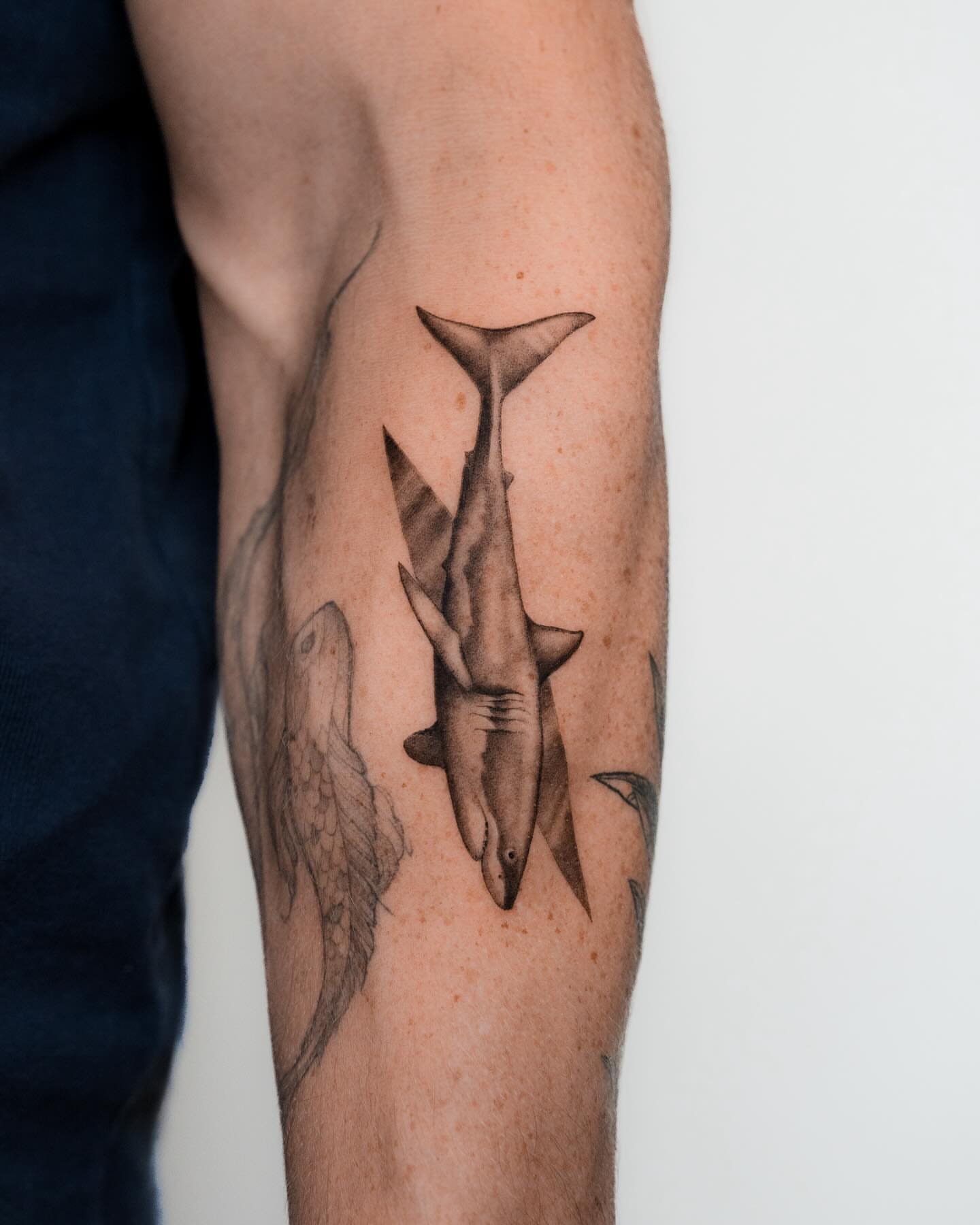 Shark black and grey tattoo on the forearm by Mateo