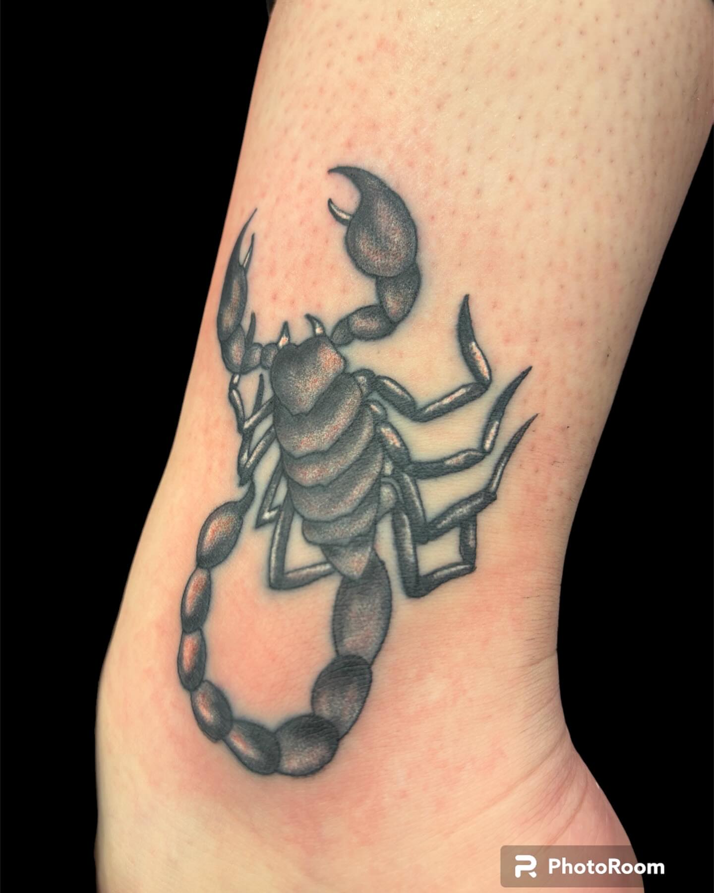 Scorpion black and grey tattoo on the forearm by Dale Martin