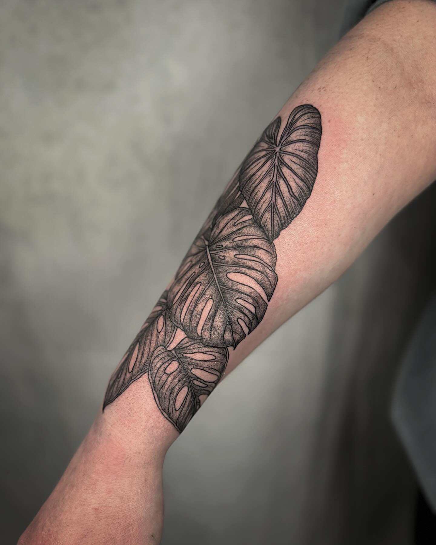 Monstera leaves black and grey tattoo on the forearm by Mallory Miller π³οΈβπ Eugene