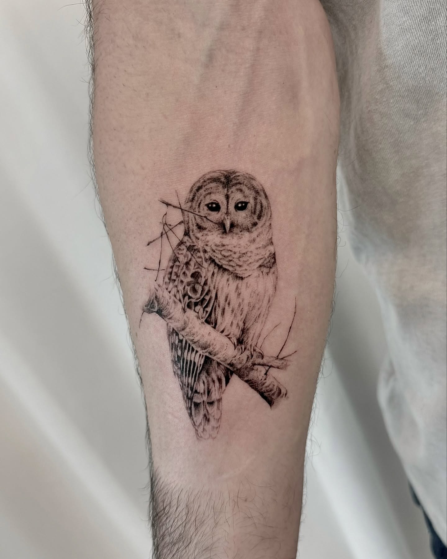 Owl black and grey tattoo on the forearm by Oori