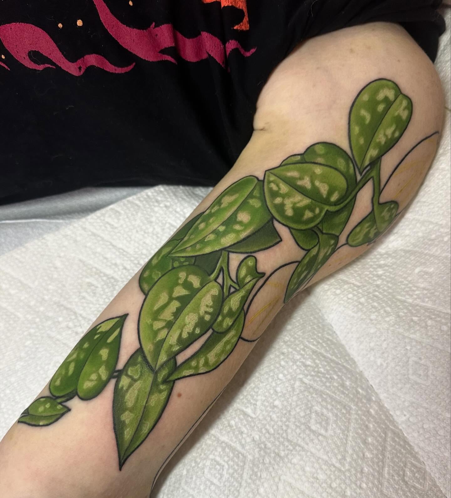 Plant realism tattoo on the forearm by ✨Sarah Knapp✨, Eugene, Oregon