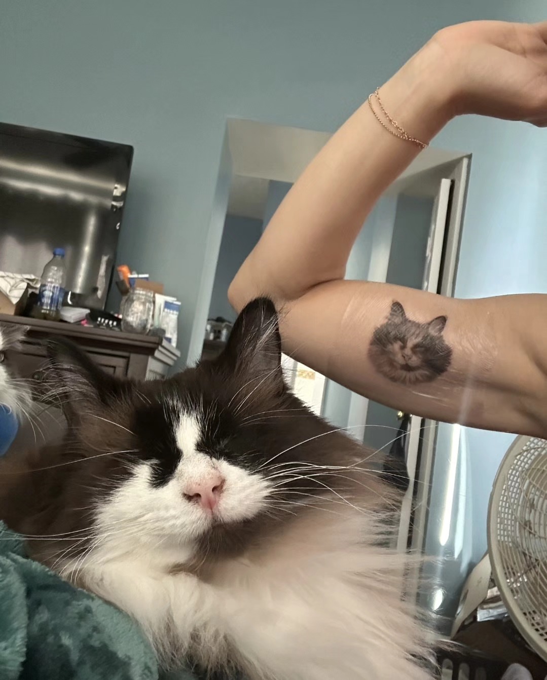 Cat realism tattoo on the forearm by Lynx, Cincinnati, Ohio