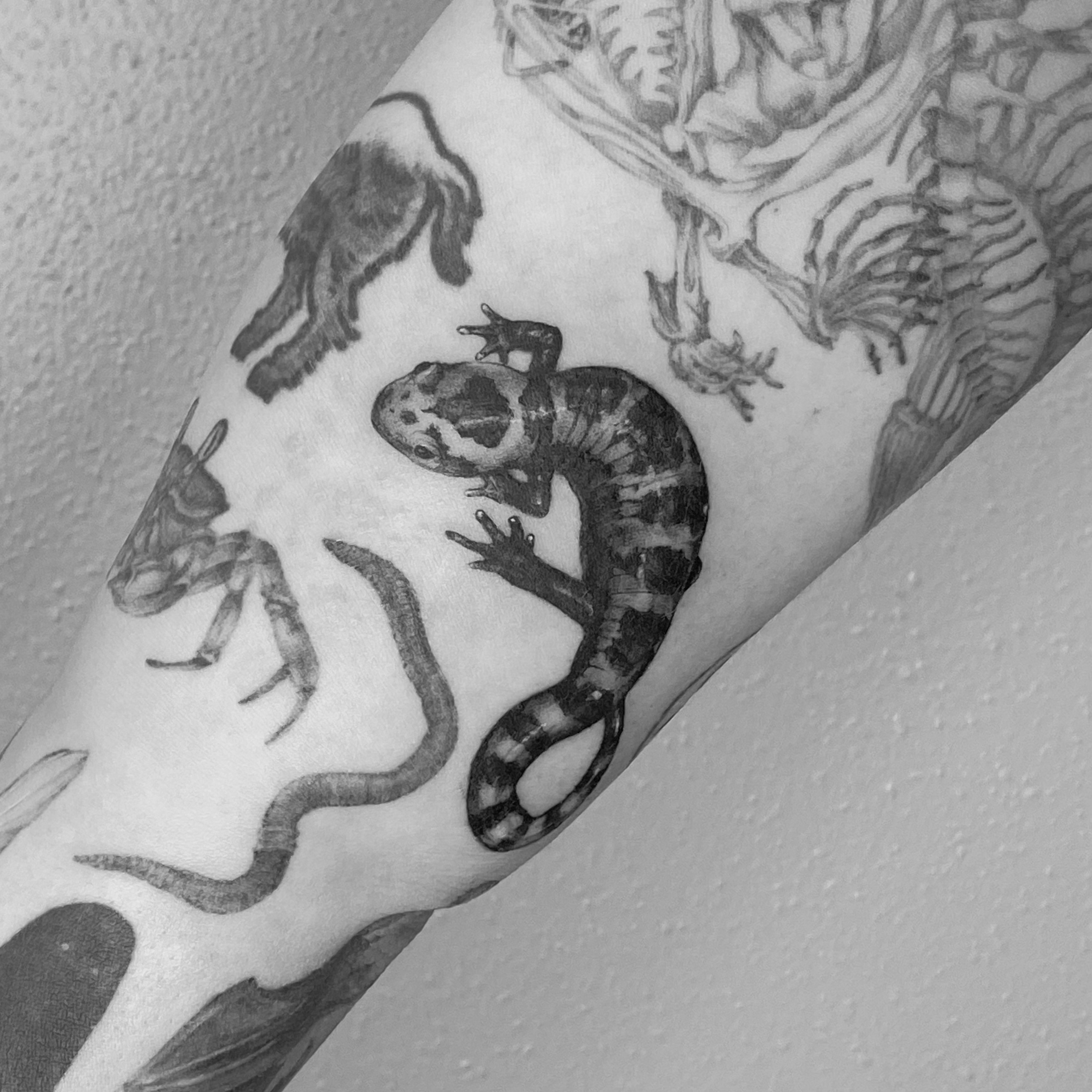 Tattoo by @emily.tattoos — black_and_grey