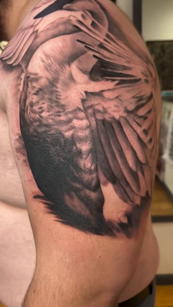 Duck realism tattoo by David Gray