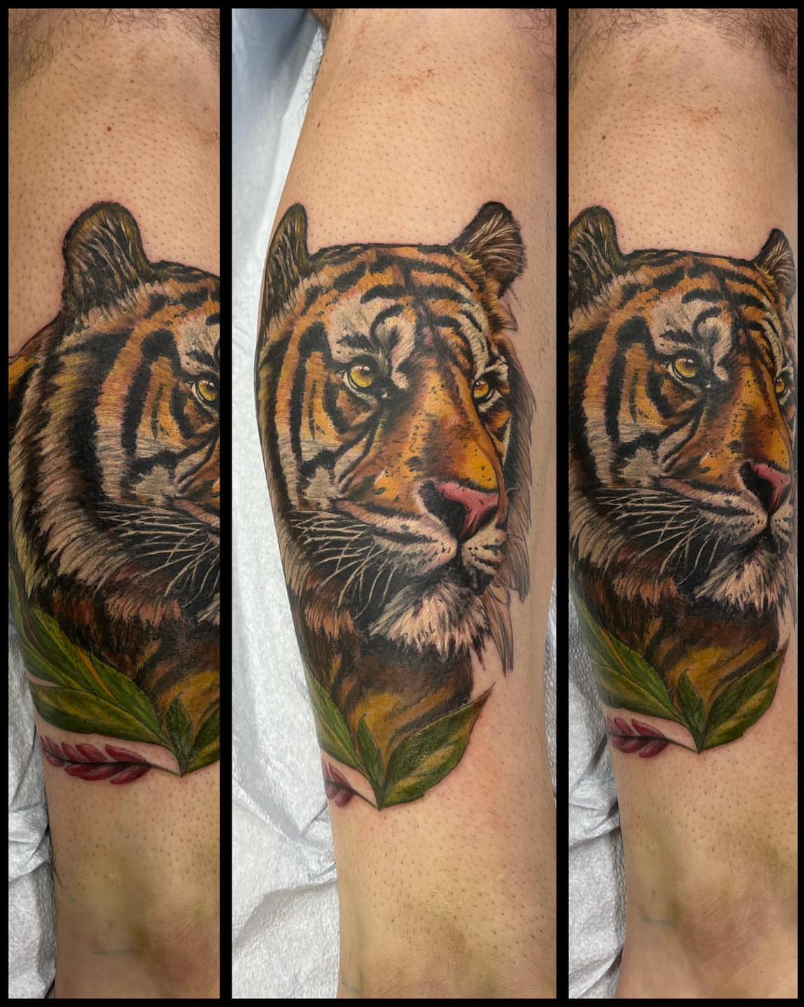 Tiger realism tattoo on the forearm by Bill Ferguson