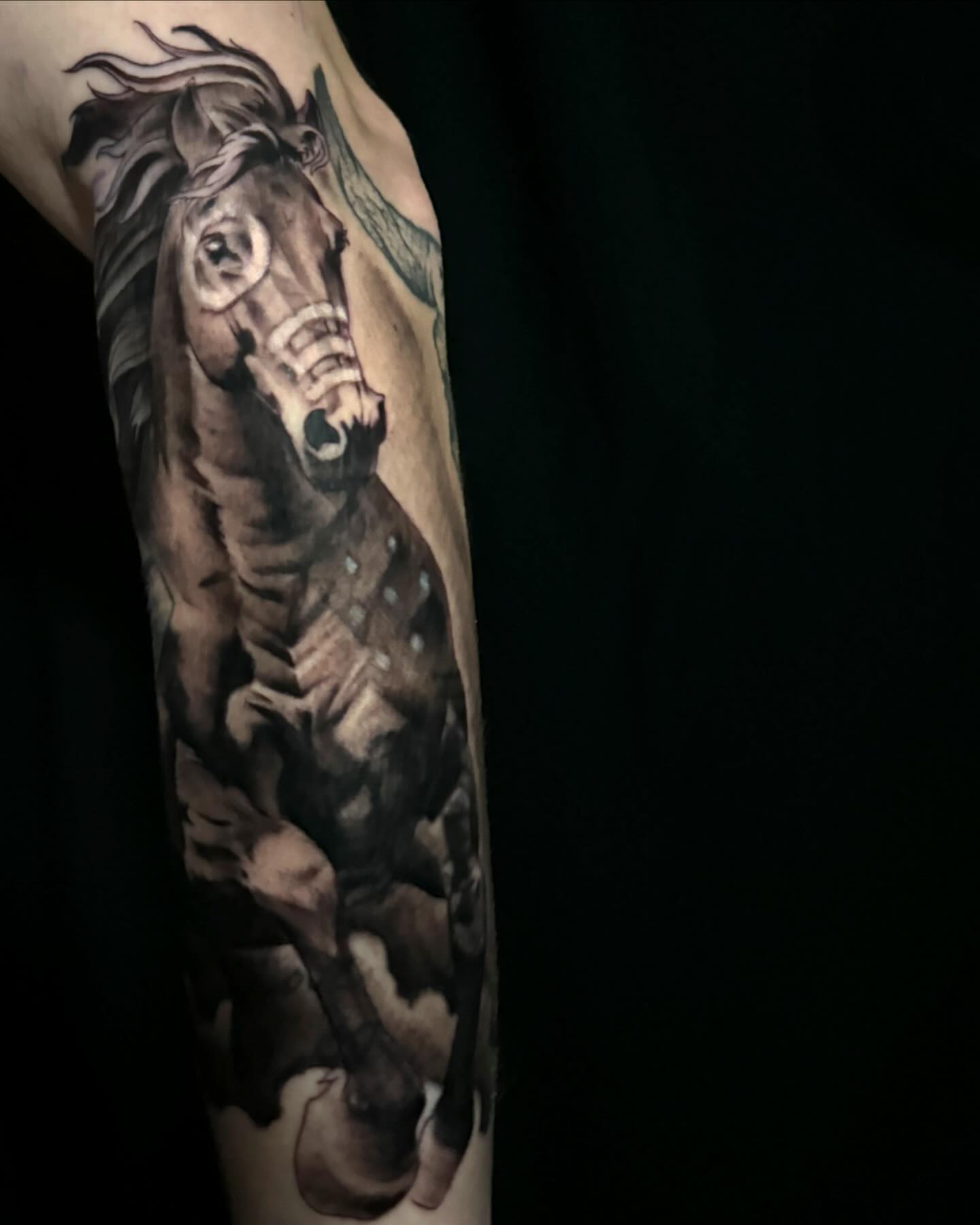 Galloping horse realism tattoo on the forearm by Paul Jack II ⚜️ Tattoo Artist ⚜️Atlanta