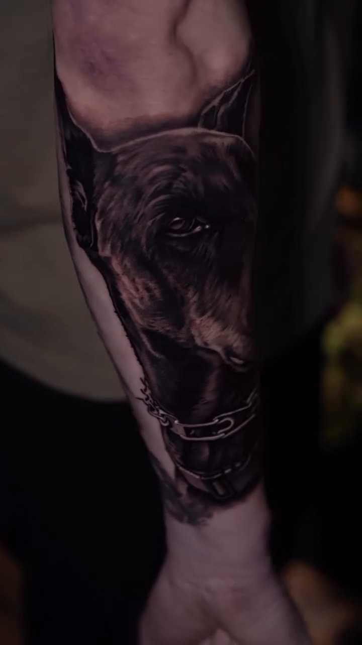 Dog portrait realism tattoo by @kotytattoos