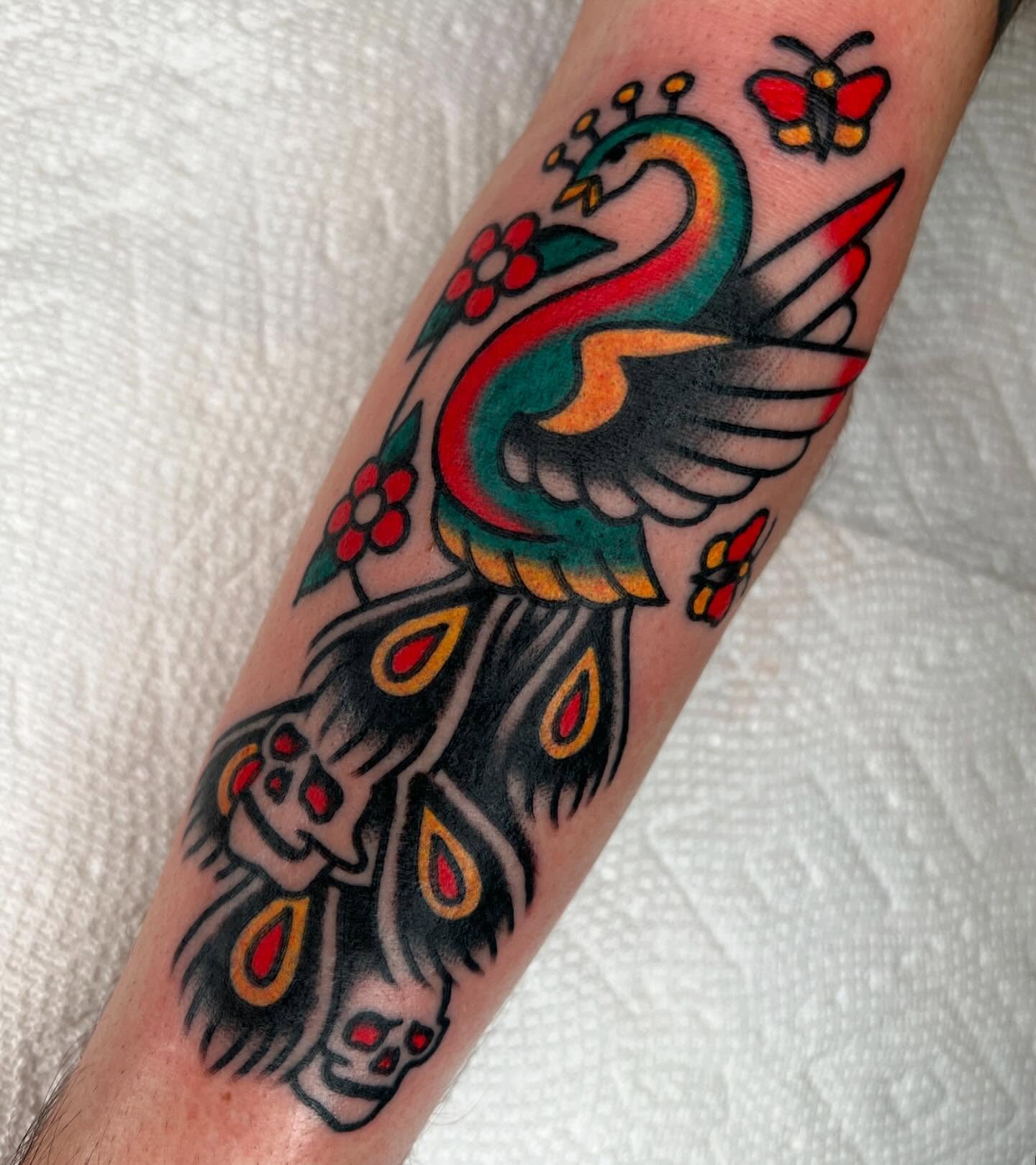 Peacock and skull American traditional tattoo on the forearm by Ian Jett