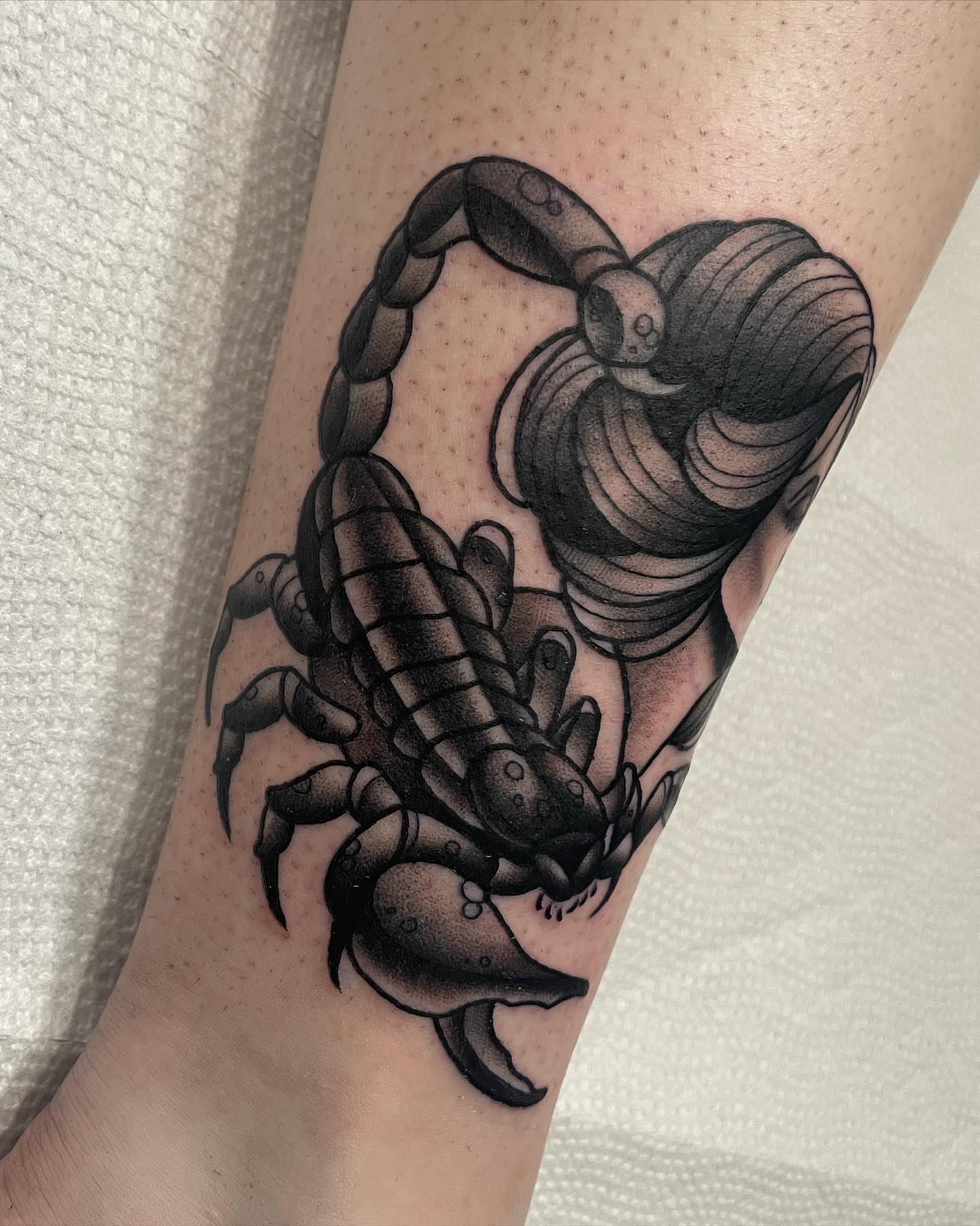 Scorpion dotwork tattoo on the forearm by Amy Jean, Minneapolis, Minnesota