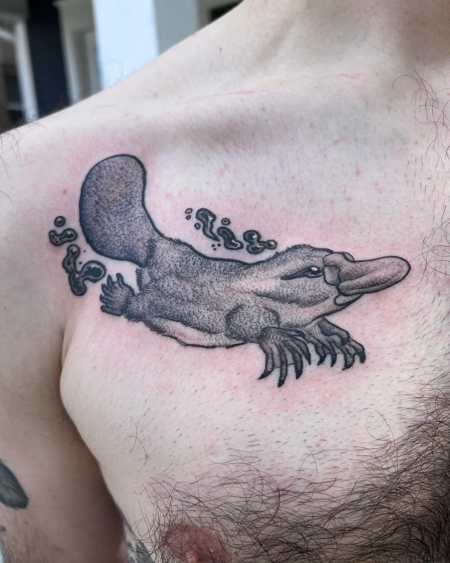 Tattoo by @birchbeast — black_and_grey