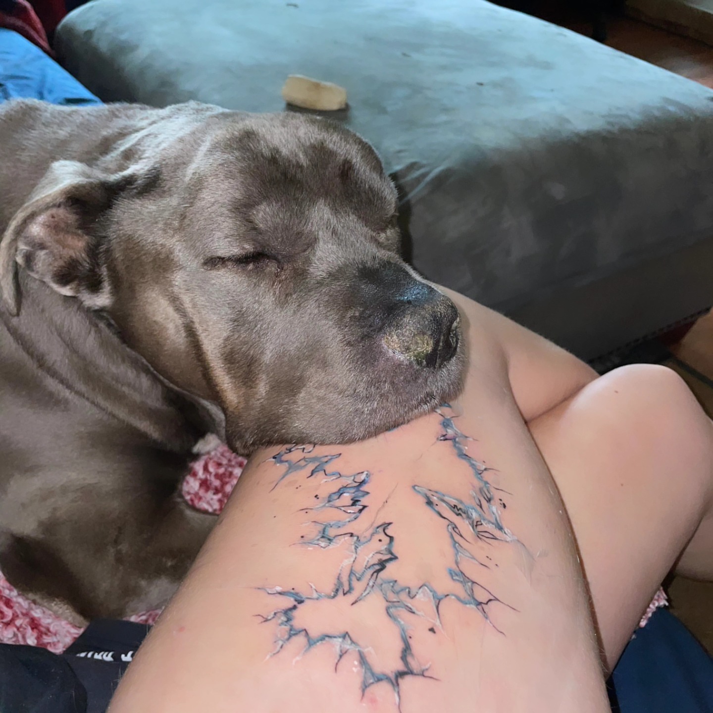 Crack pattern dotwork tattoo on the forearm by Nadine ☥