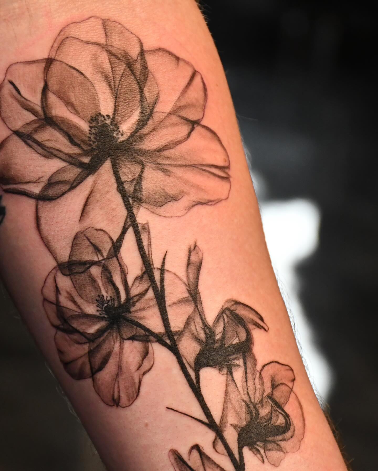 Flowers black and grey tattoo on the forearm by Jaiden Ducoff
