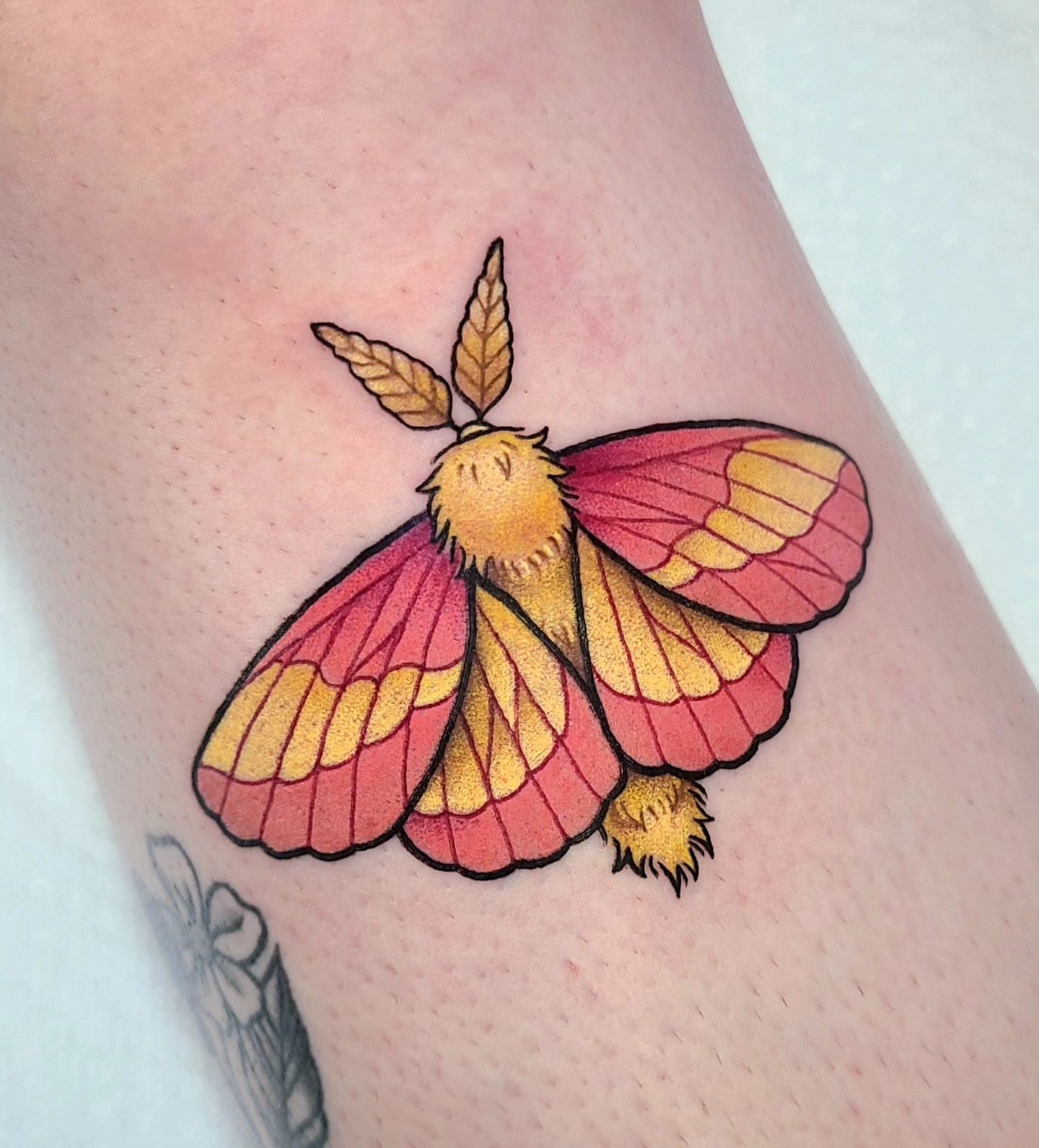 Moth dotwork tattoo on the thigh by Chloe🌿Tattoos