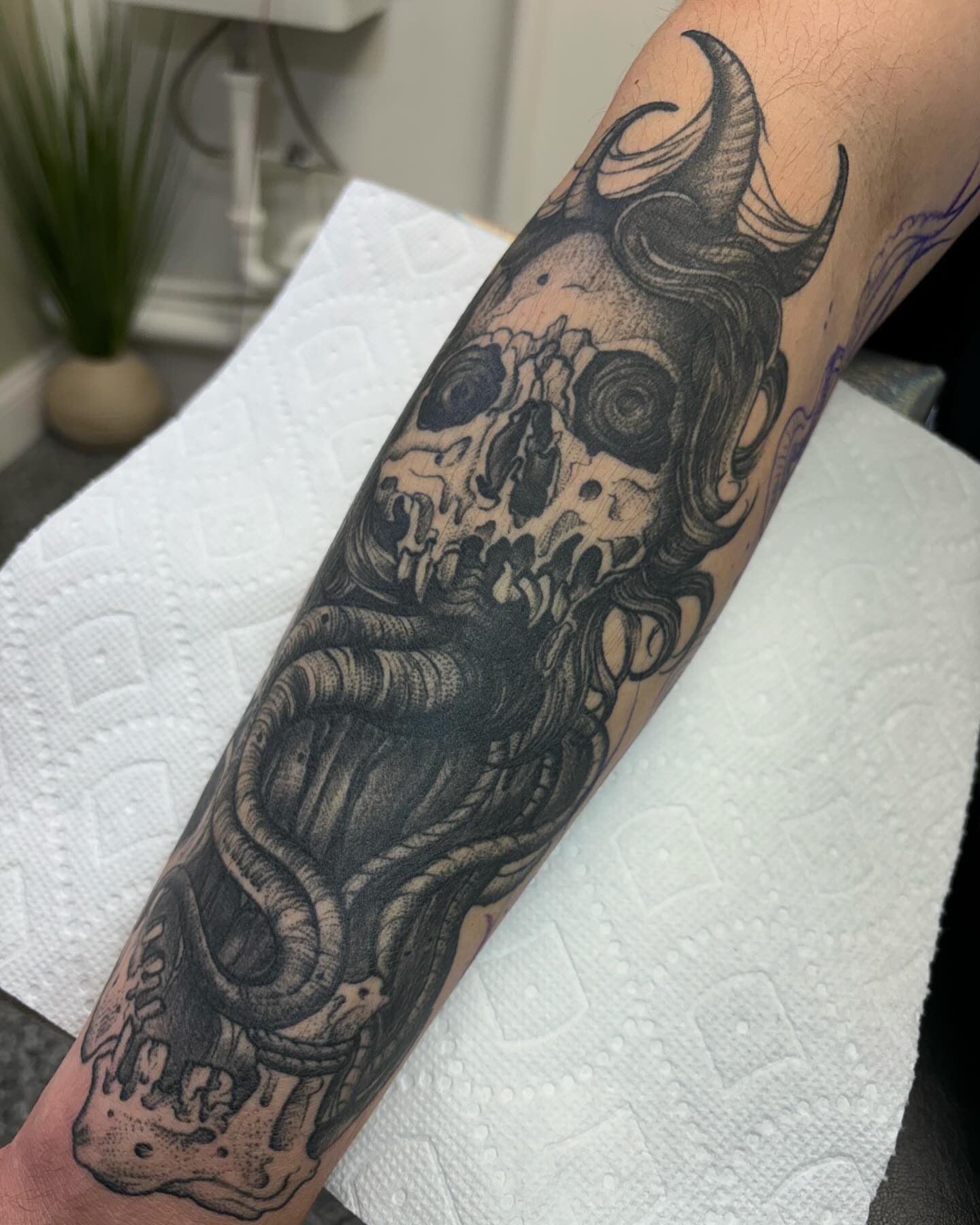 Skull with tentacles realism tattoo on the forearm by 𝐀𝐘𝐀𝐍𝐀𝐇