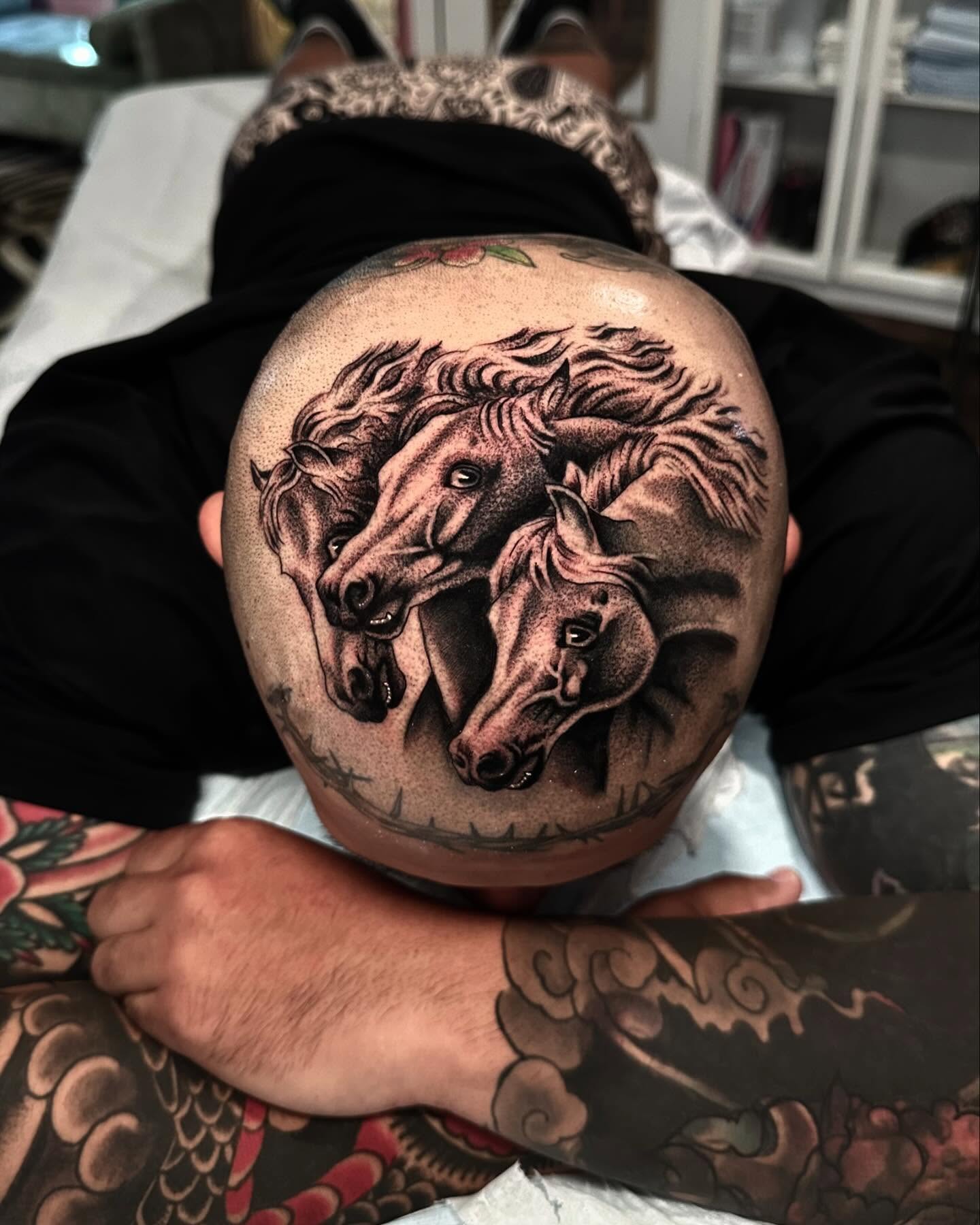 Horses realism tattoo on the head by Matthew, Georgetown, Texas