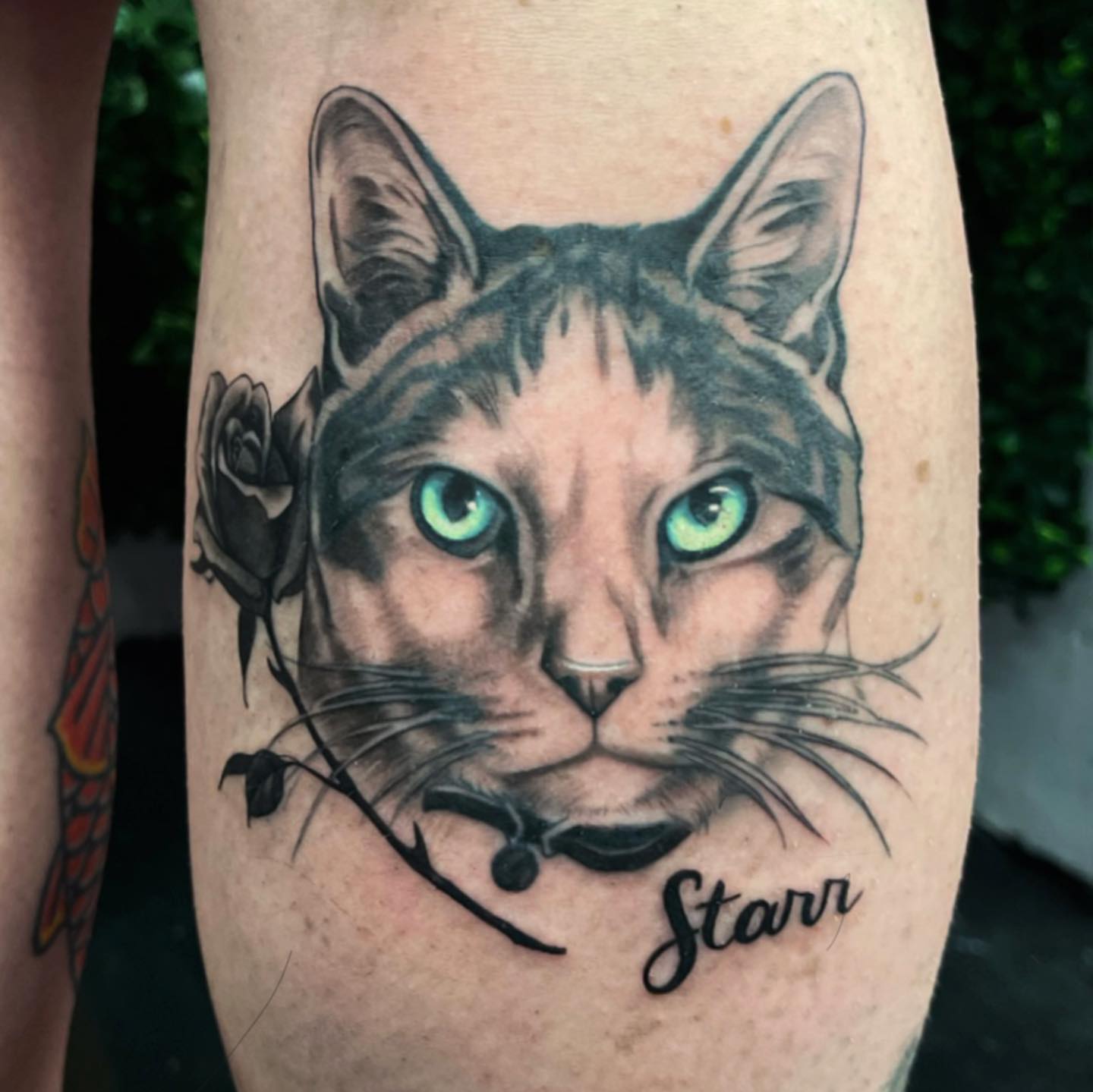 Cat realism tattoo on the thigh by π‘πΆπΈπ½ππ ππΎππππ