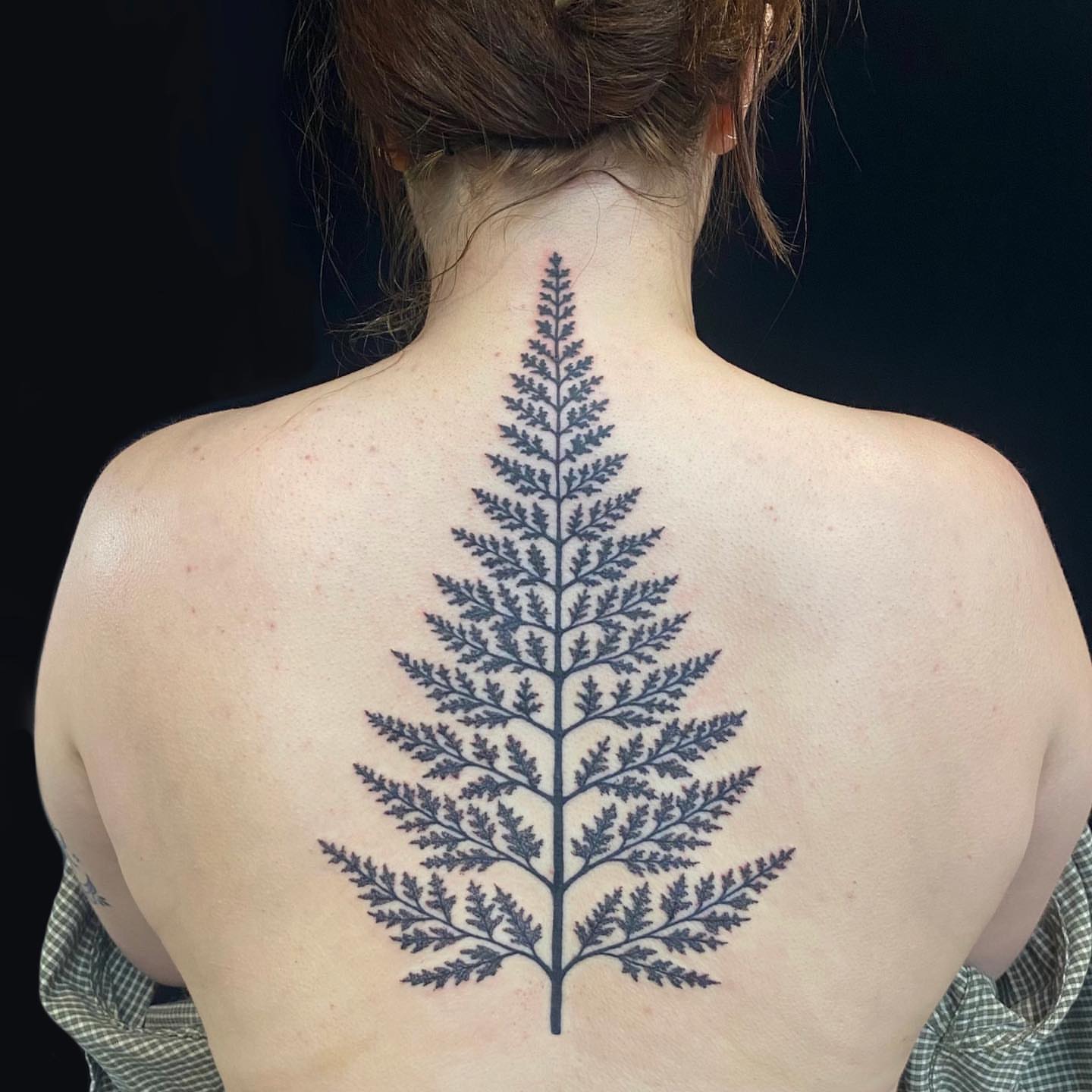 Fern black and grey tattoo on the back by Krista - Tattoo Artist