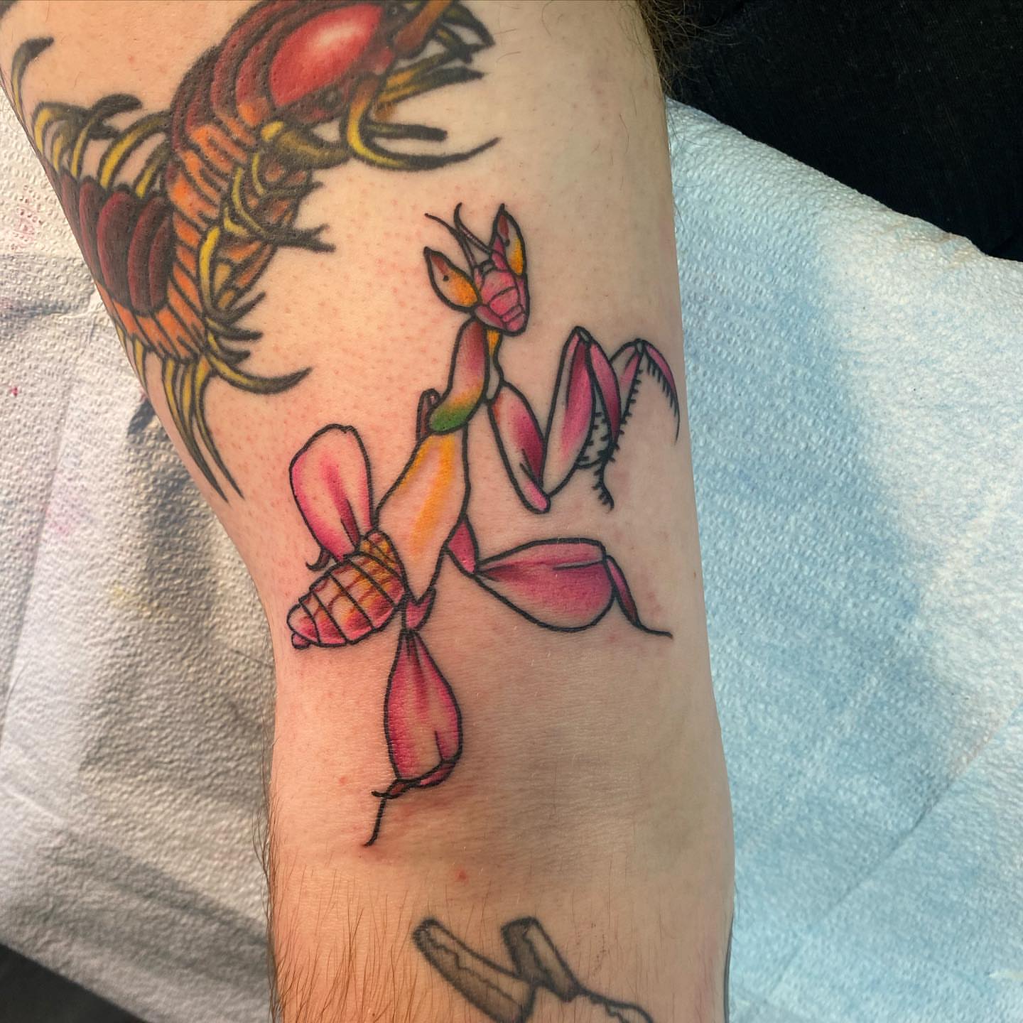 Tattoo by @shelbeaux — american_traditional