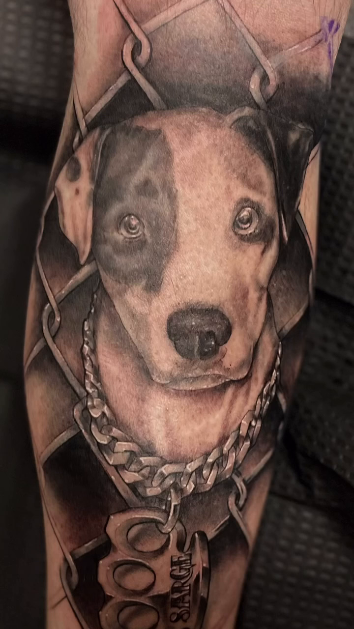 Dog portrait with chain realism tattoo by Look