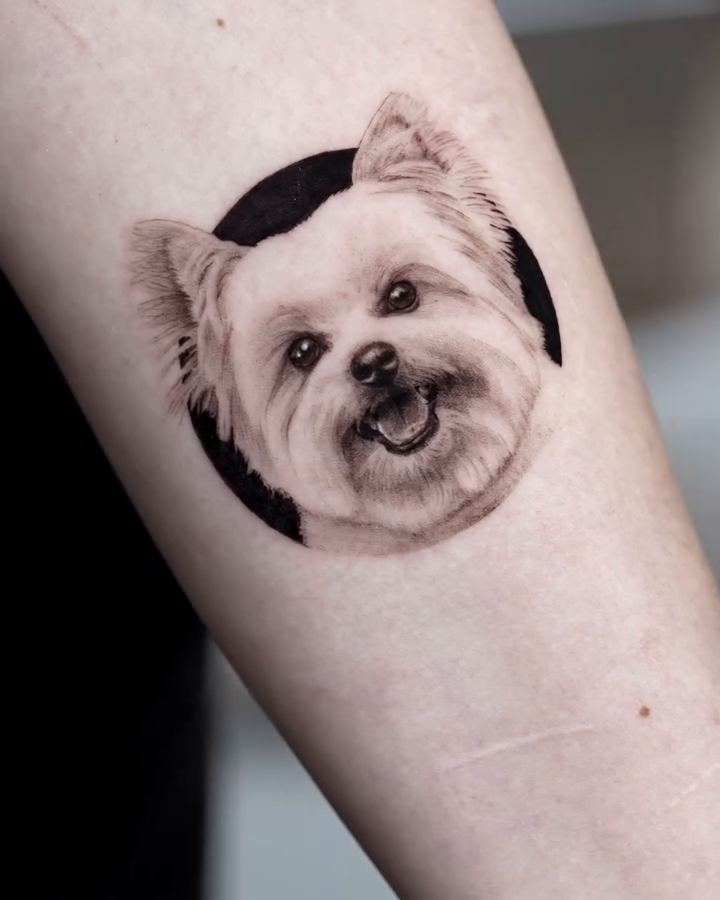 Dog portrait realism tattoo by LA Tattoo Yeono