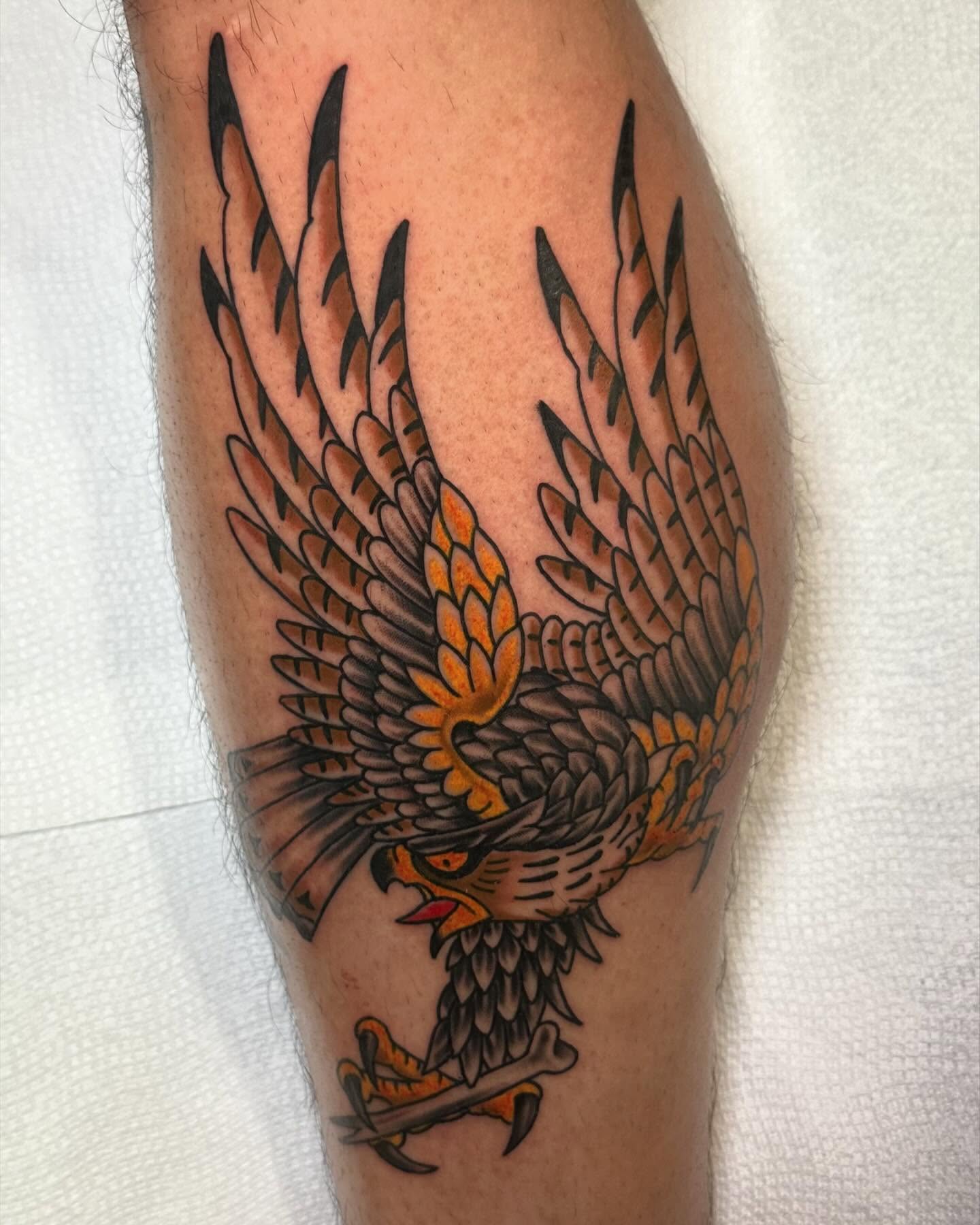 Hawk American traditional tattoo on the forearm by 𝕯𝖗𝖊𝖜 𝕲𝖎𝖑𝖊𝖘 𝕵𝖆𝖙𝖙𝖔𝖔, Addison, Texas