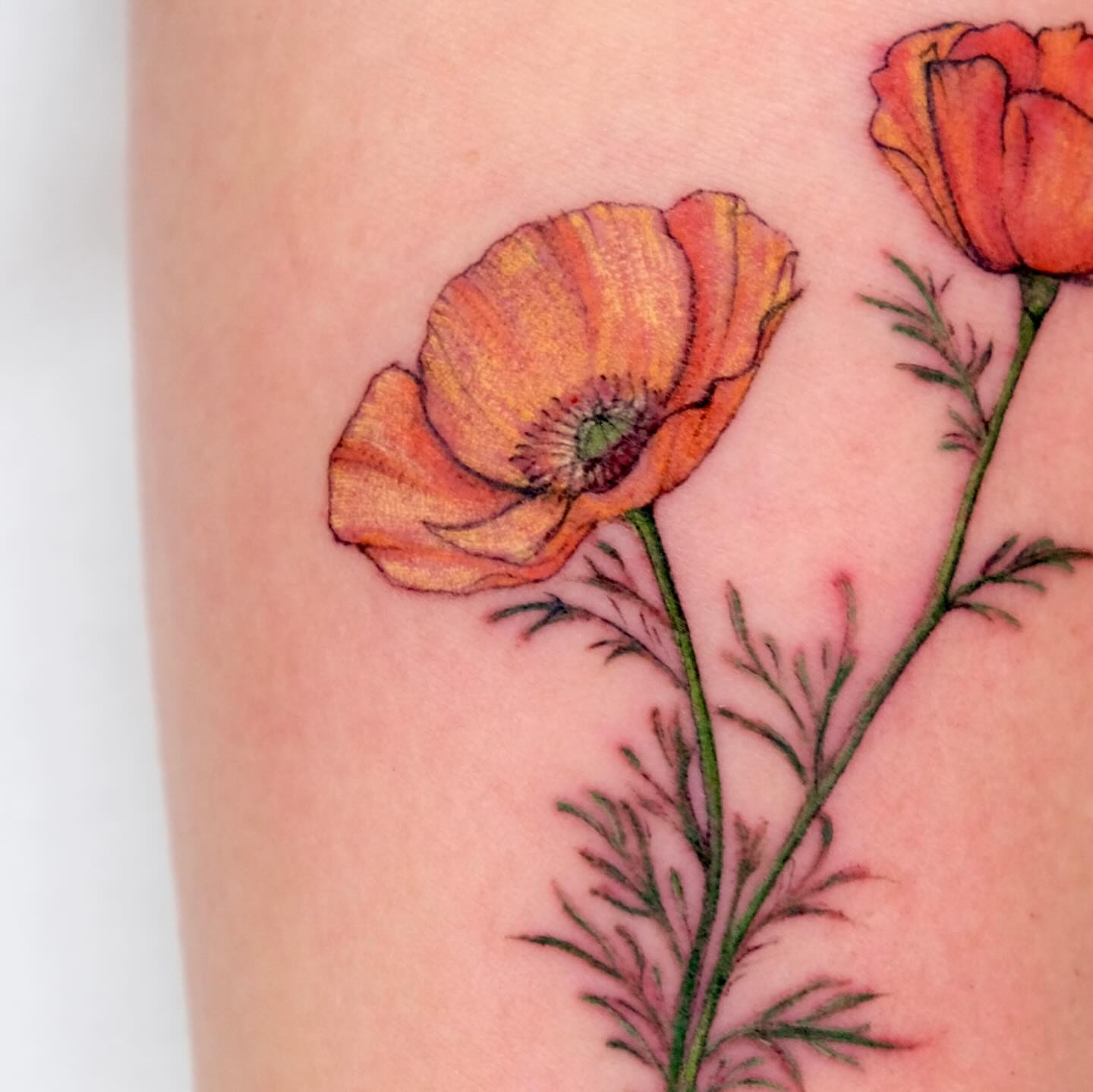 Poppy flowers realism tattoo on the forearm by Ka hiu chiu