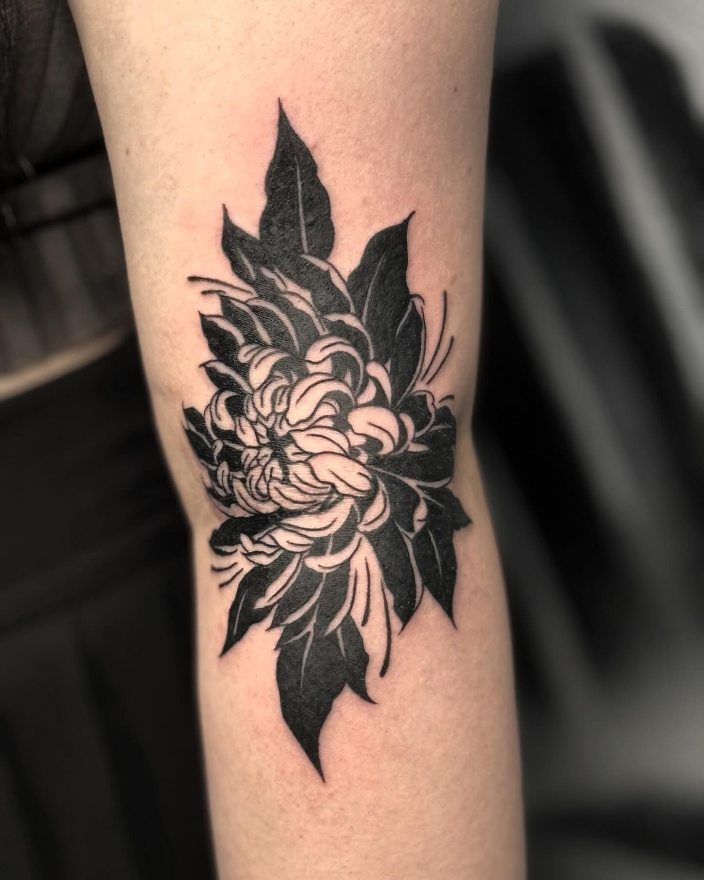 Chrysanthemum black and grey tattoo on the forearm by โโฎโ๐ถ๐๐ฝ๐๐๐ู เฃชโญ las vegas tattoo artist