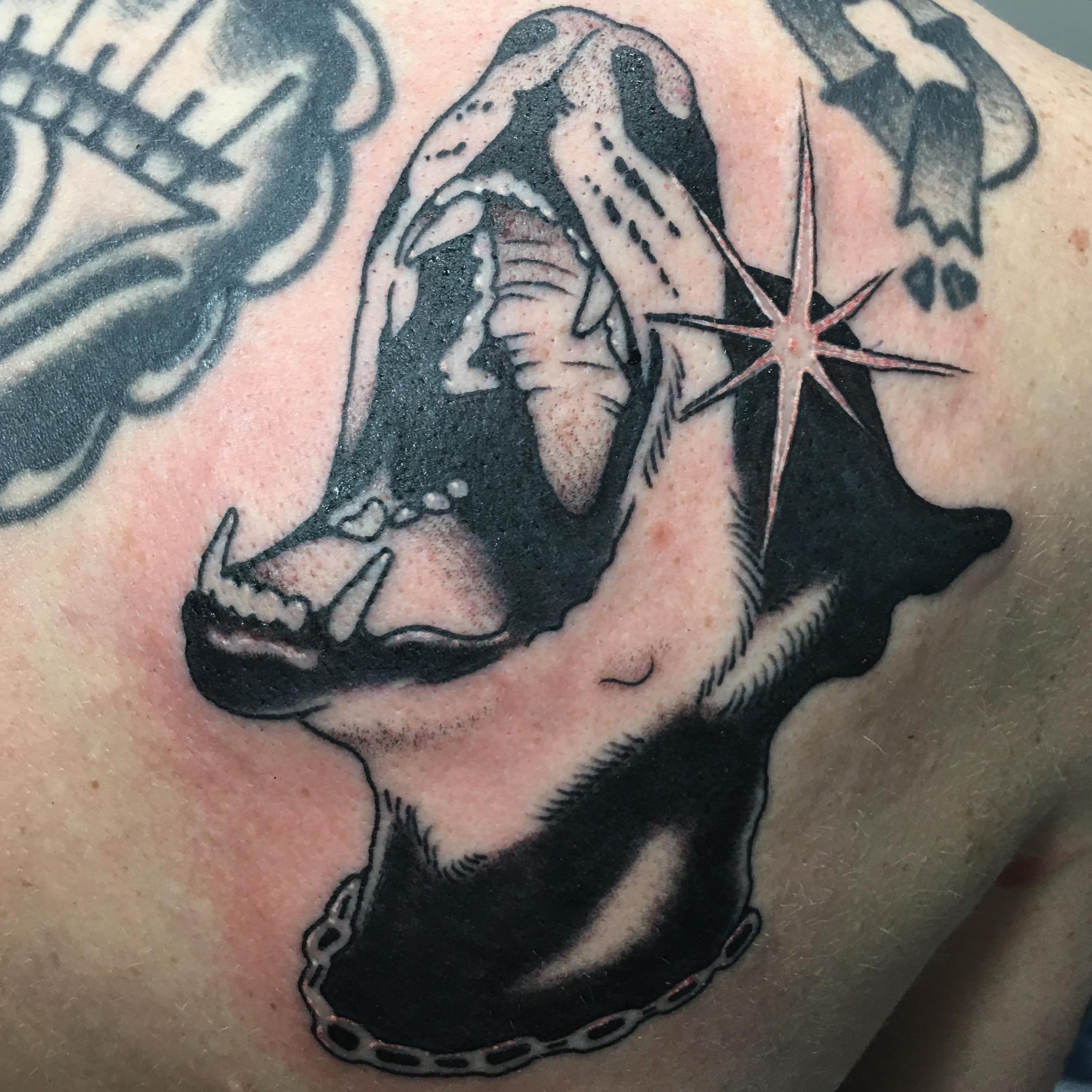 Shark American traditional tattoo on the shoulder by Abbey Martin, Nashville, Tennessee