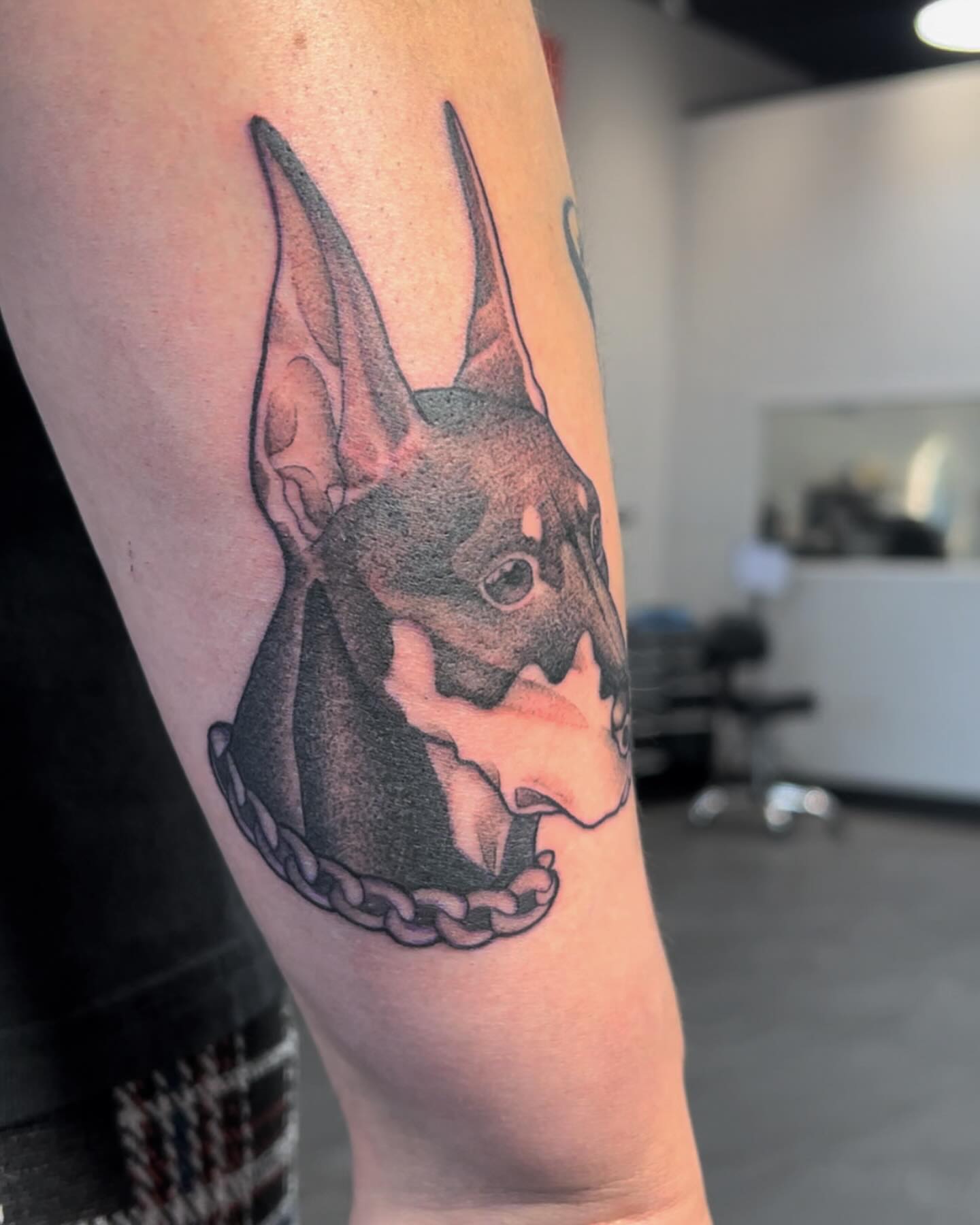 Bat realism tattoo on the forearm by ✨ 𝖘𝖙𝖆𝖇 𝖘𝖙𝖆𝖇 𝖘𝖙𝖆𝖇 ✨
