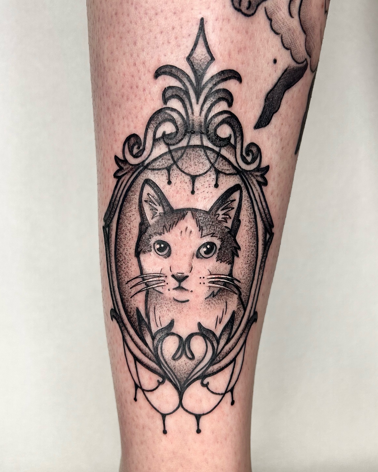 Tattoo by @cicadanymph — dotwork, black_and_grey