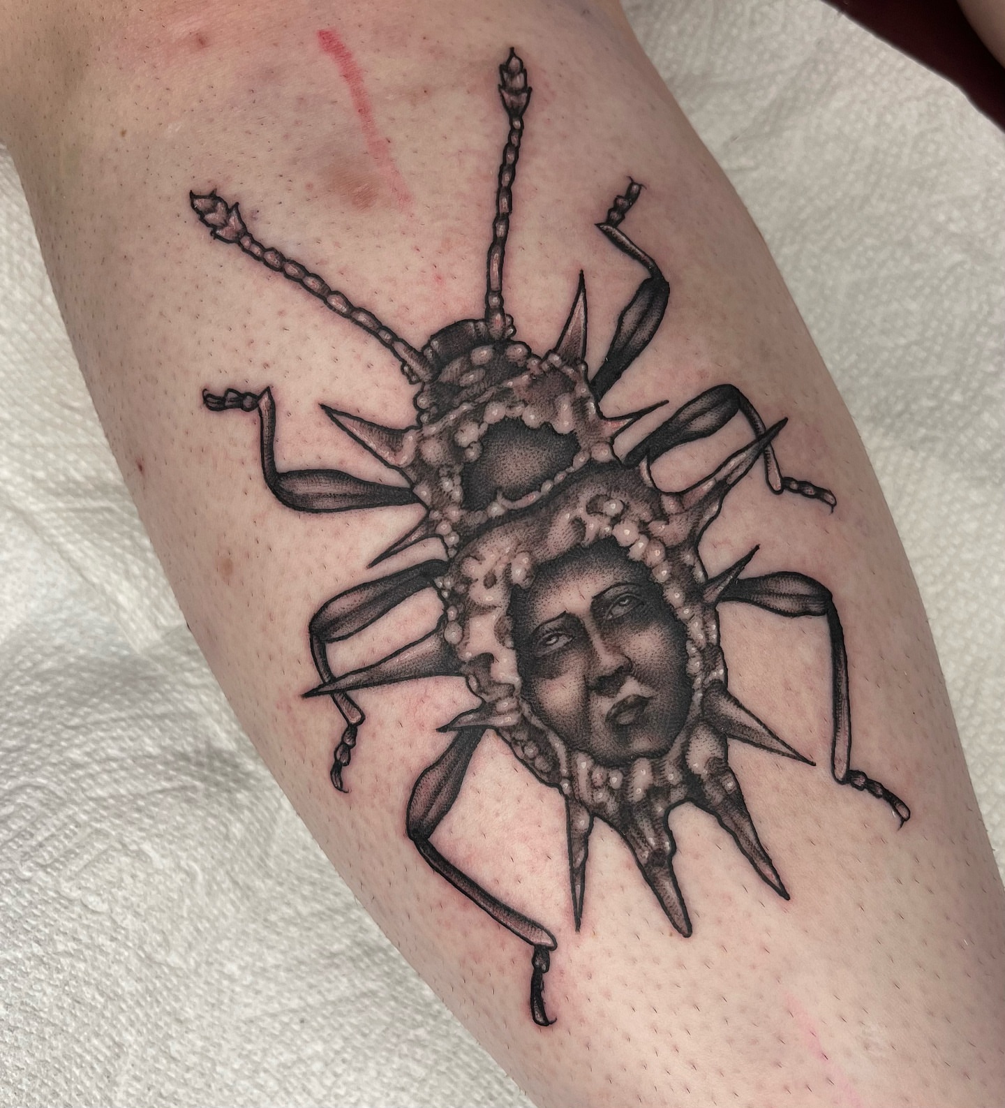 Beetle with human face realism tattoo on the forearm by Myla Jane, Houston, Texas