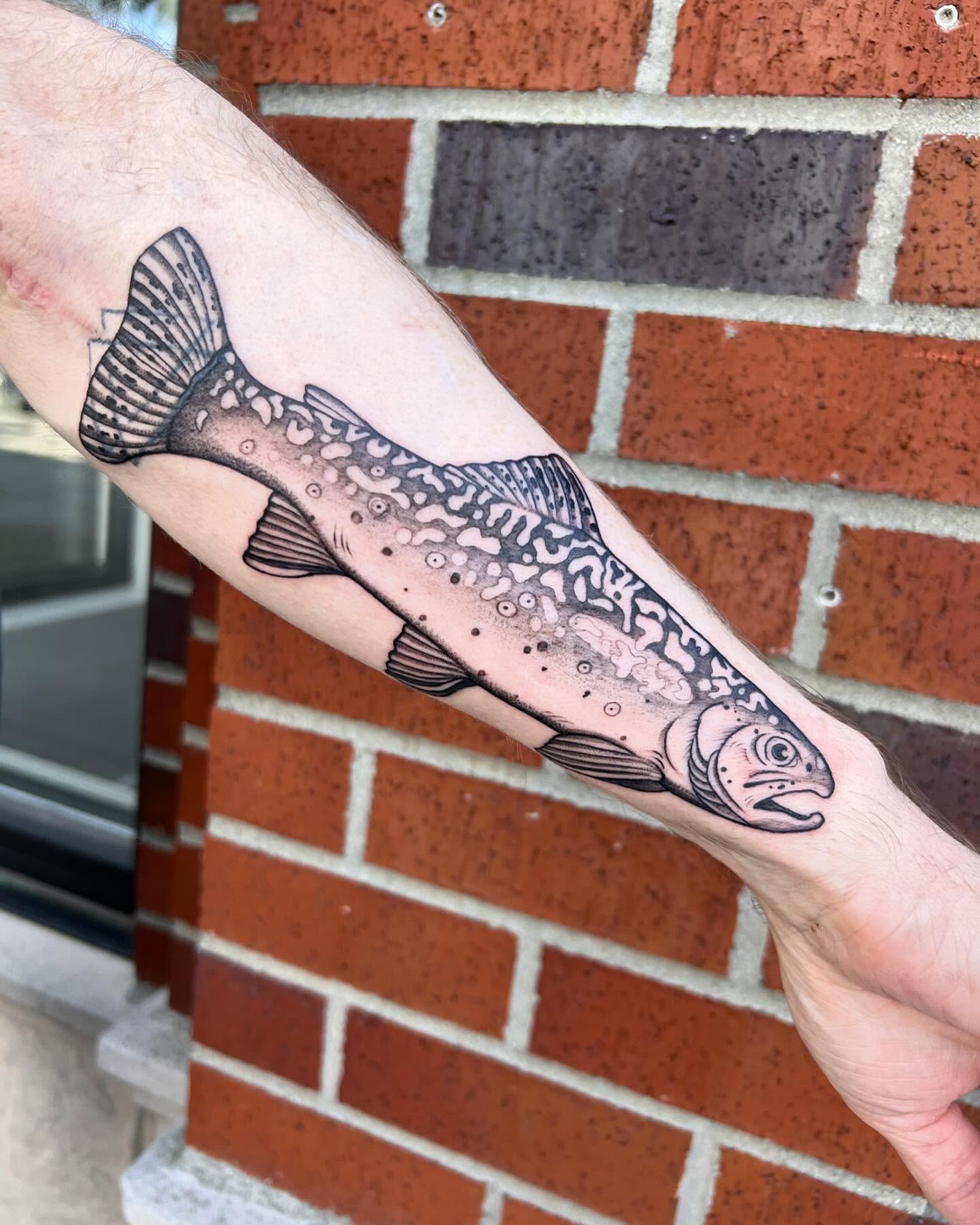 Trout black and grey tattoo on the forearm by Tasha Venola, Bellingham, Washington