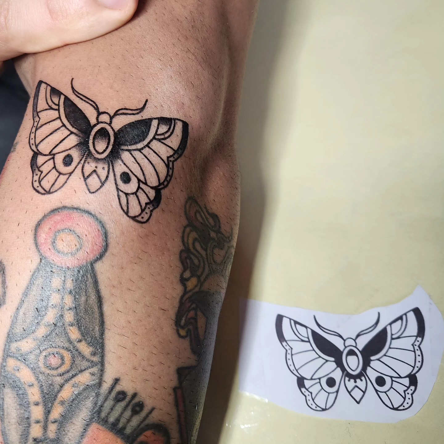 Moth American traditional tattoo on the forearm by Sonia