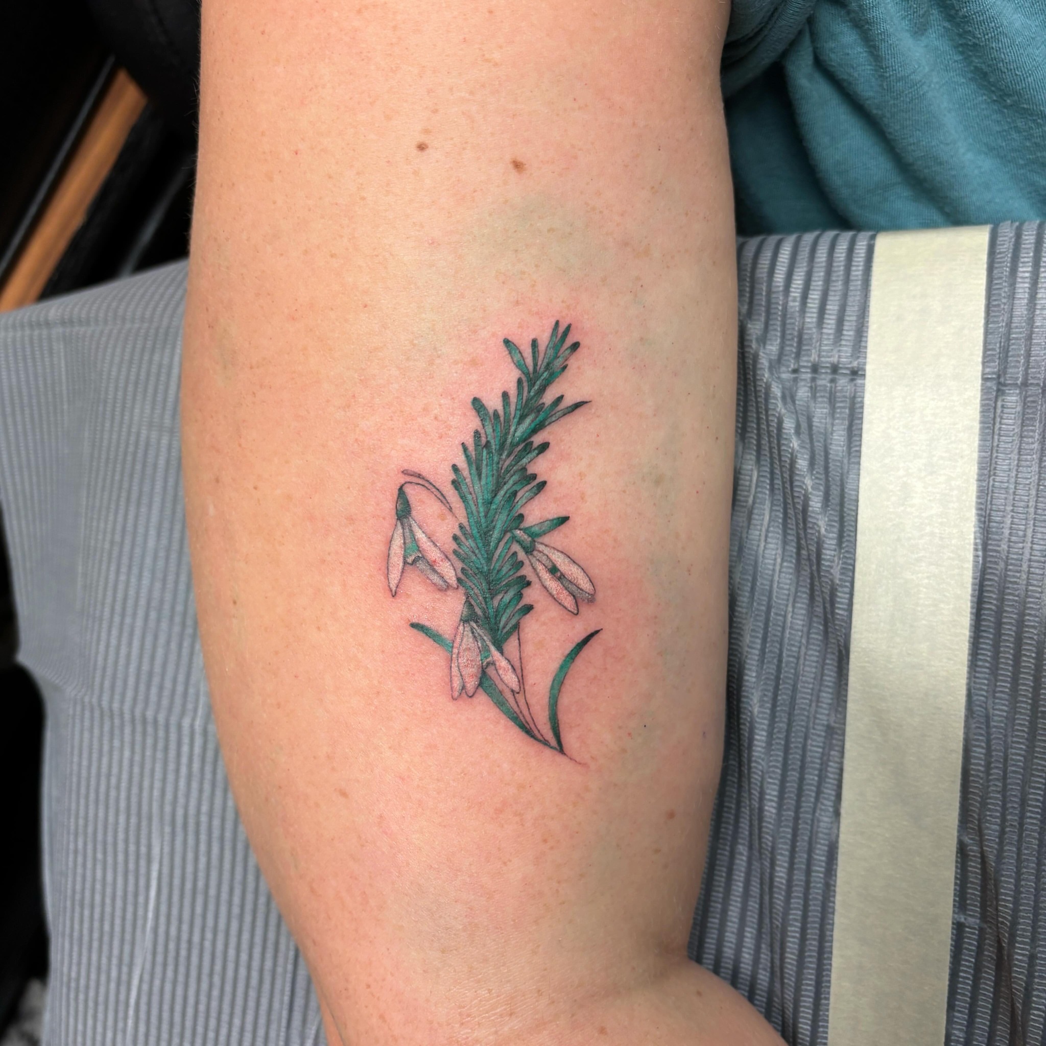 Snowdrop and pine realism tattoo on the forearm by Kimberly Shordon