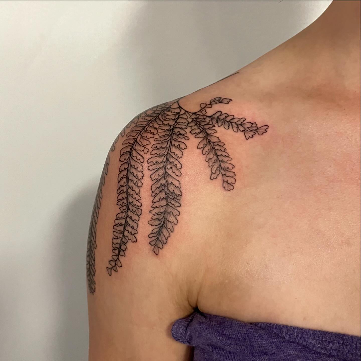 Fern black and grey tattoo on the shoulder by Christen Wolfe CA Tattooer