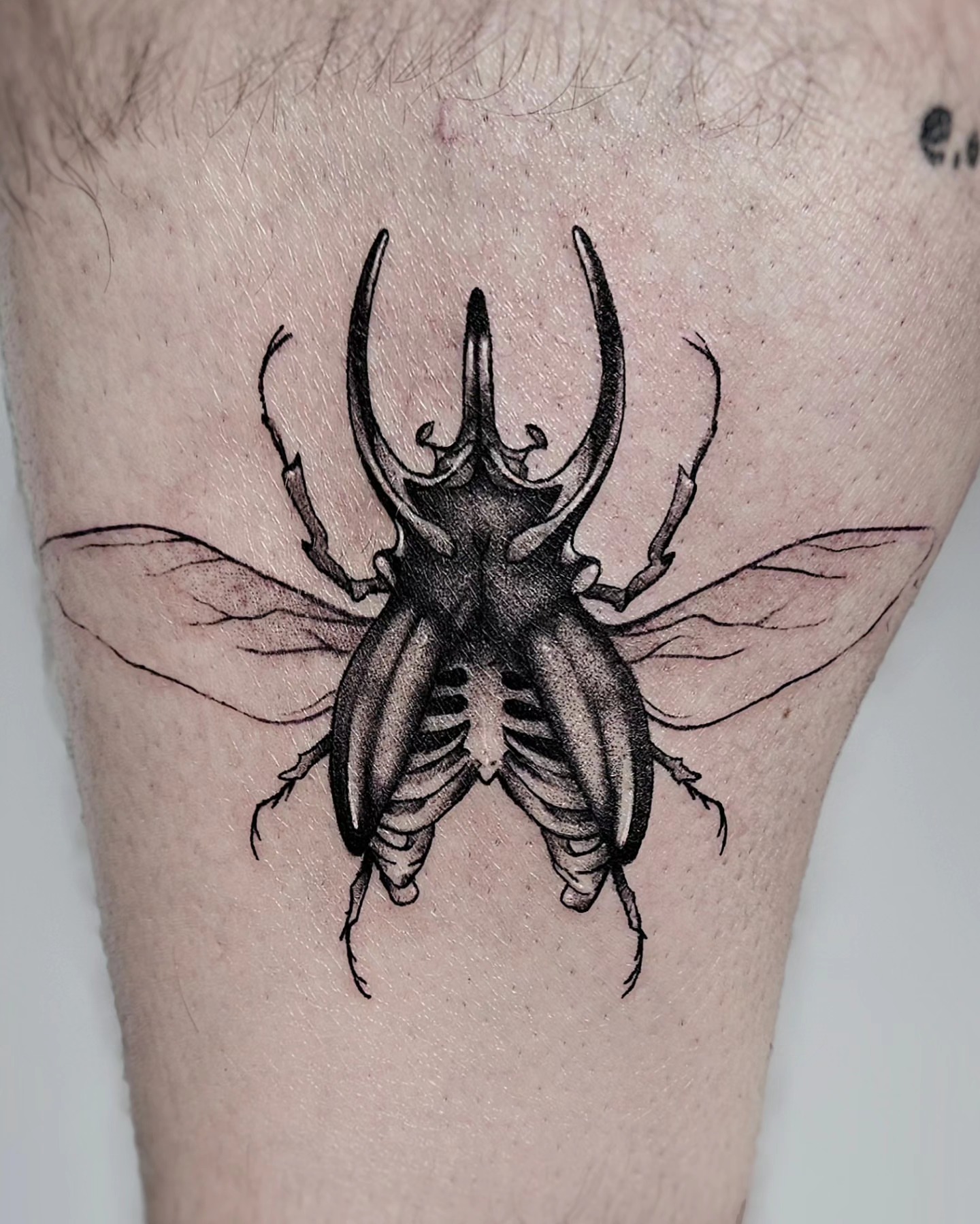 Stag beetle black and grey tattoo on the thigh by ʙʀɪᴀɴɴᴀ 𝒁𝑶𝑴𝑩𝑹𝑰𝑬 ᴛᴀᴛᴛᴏᴏꜱ