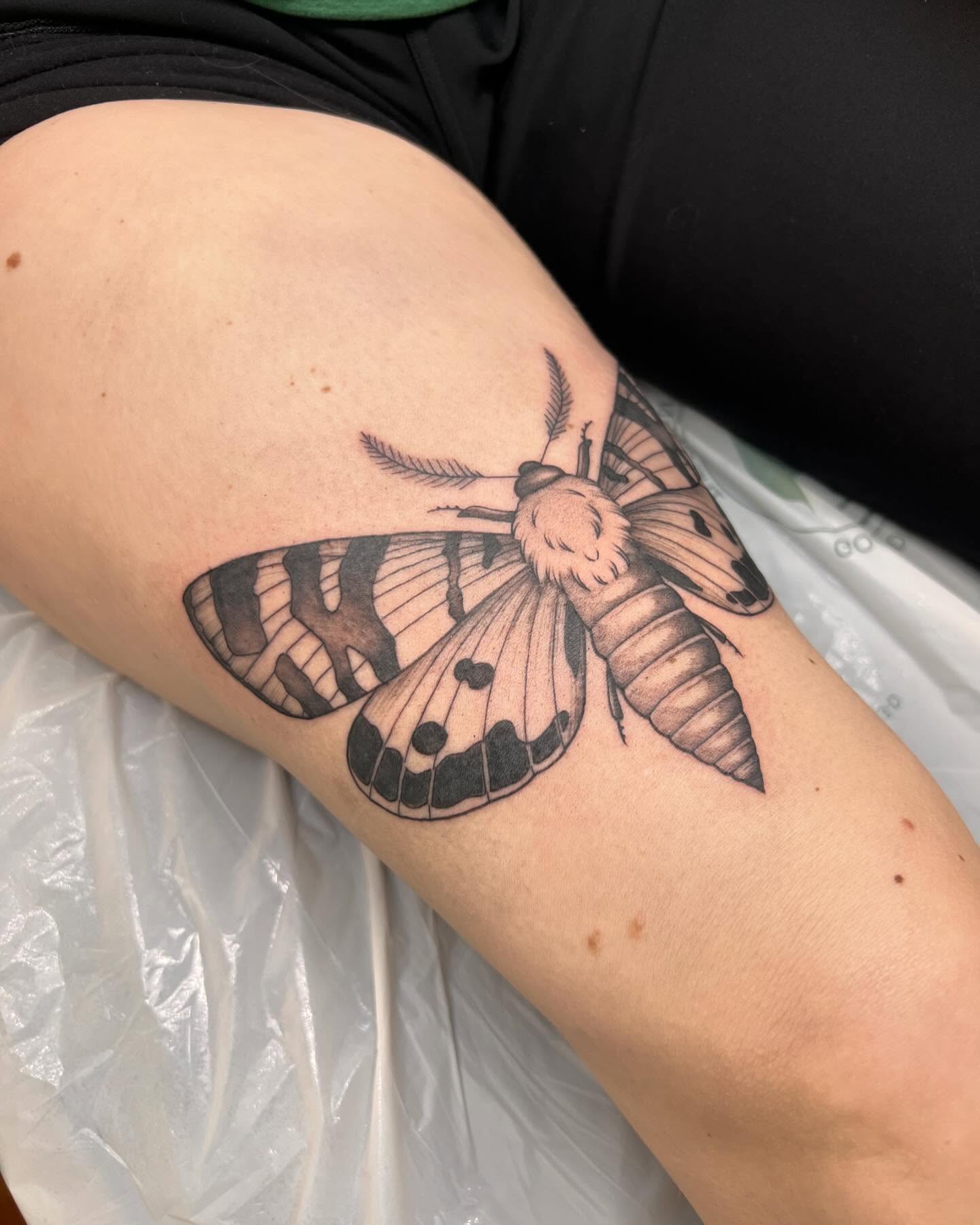 Moth black and grey tattoo on the forearm by Tasha Venola, Bellingham, Washington