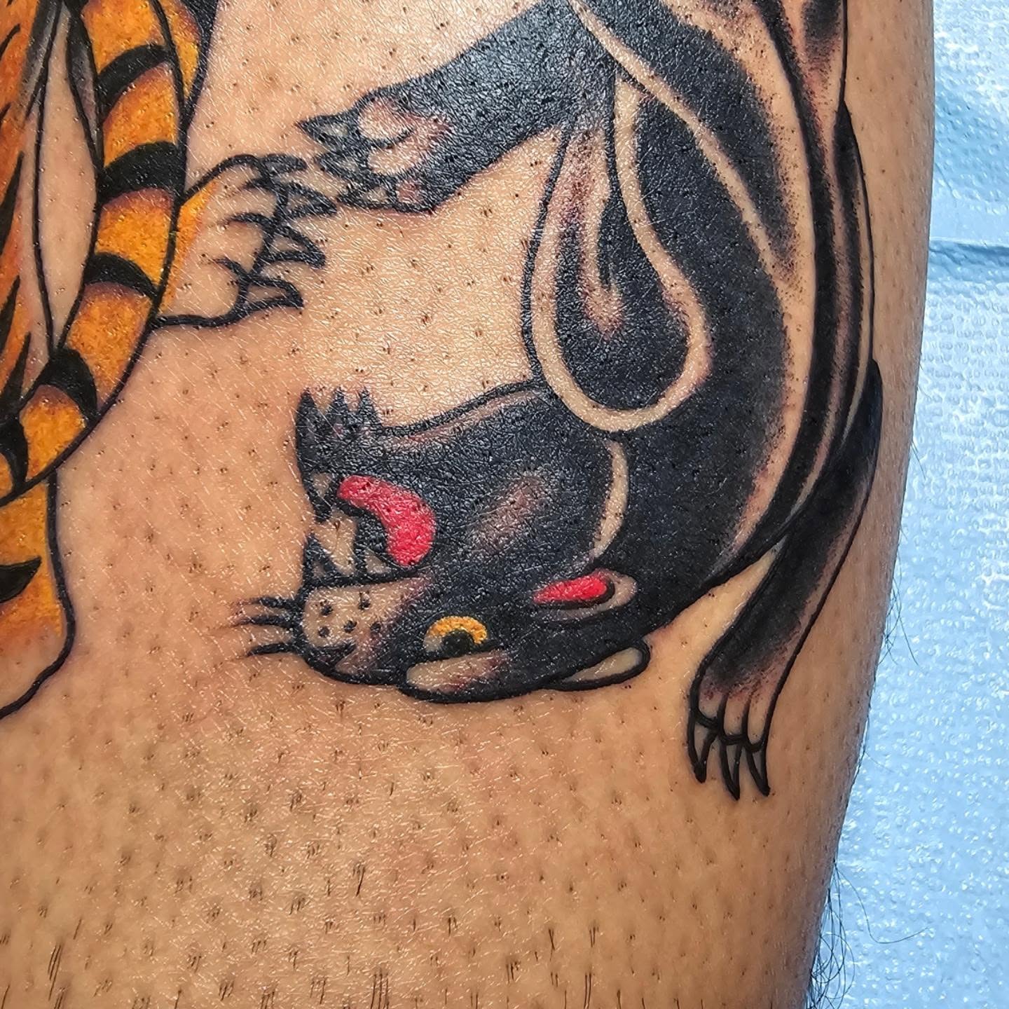 Cat American traditional tattoo on the thigh by Jared Green